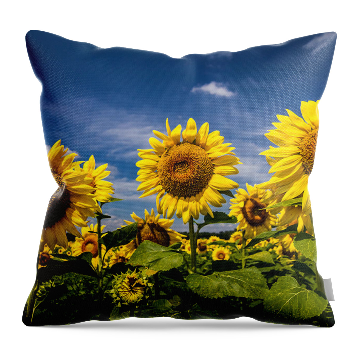 Blue Sky Throw Pillow featuring the photograph Three Suns by Ron Pate