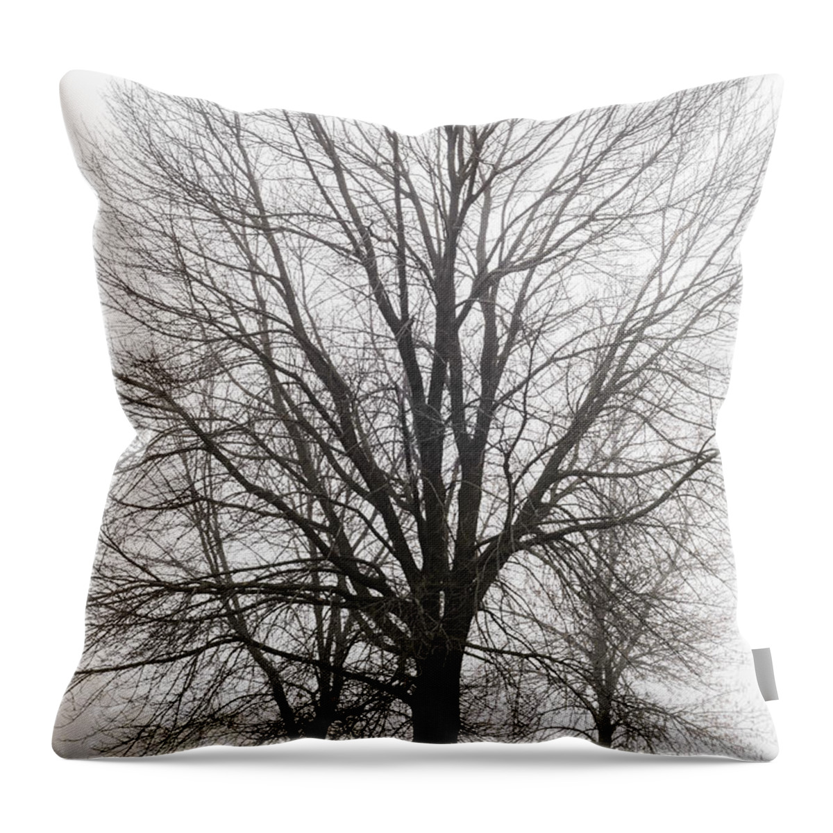 Trees Throw Pillow featuring the photograph Three Trees In Fog by Tamara Becker
