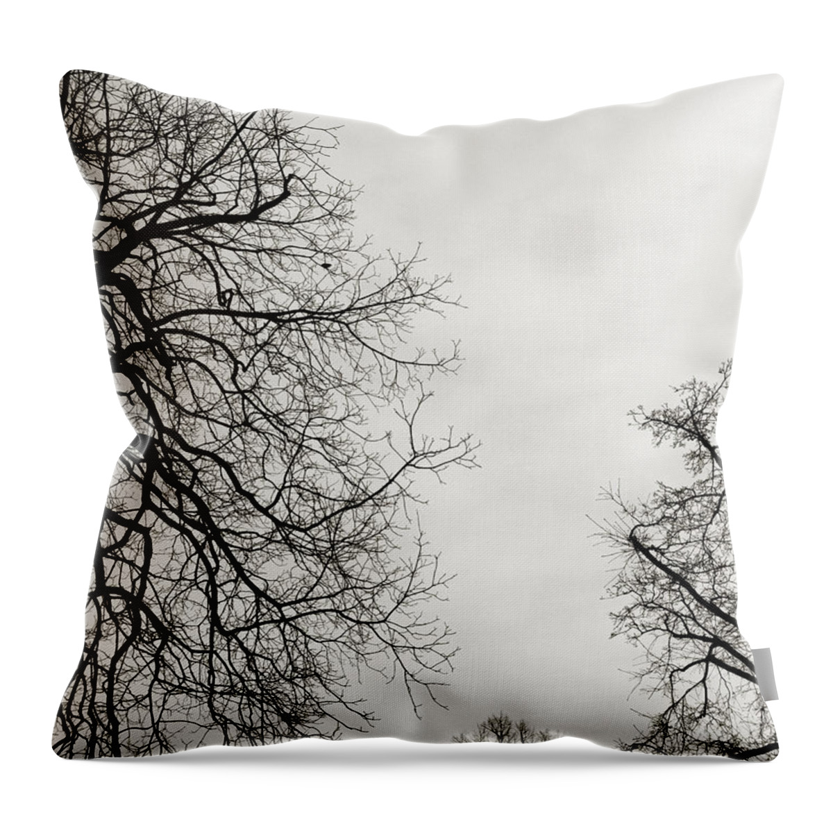 Tree Throw Pillow featuring the photograph Three Trees by Linda Woods