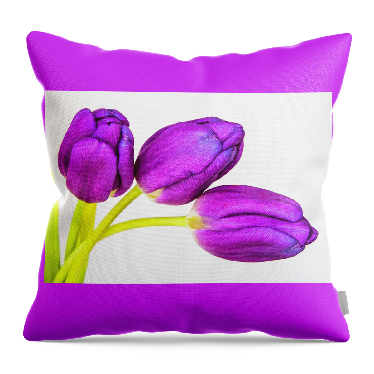 Photographic Art Throw Pillow featuring the photograph Three Tulips by John Roach