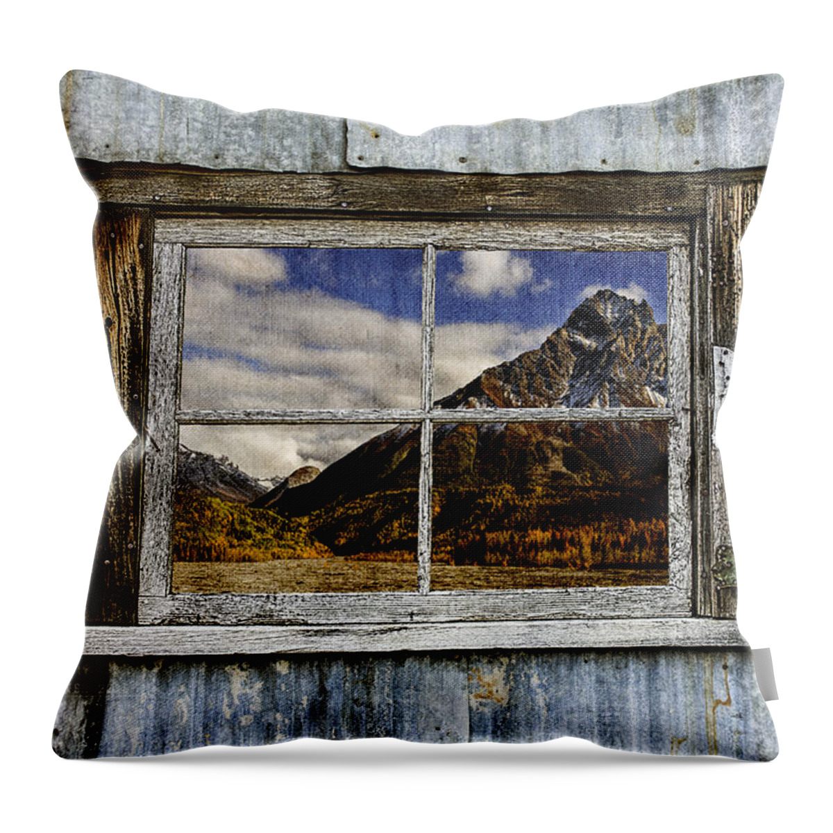 Window Throw Pillow featuring the photograph Through the Window of the Past 2 by Fred Denner