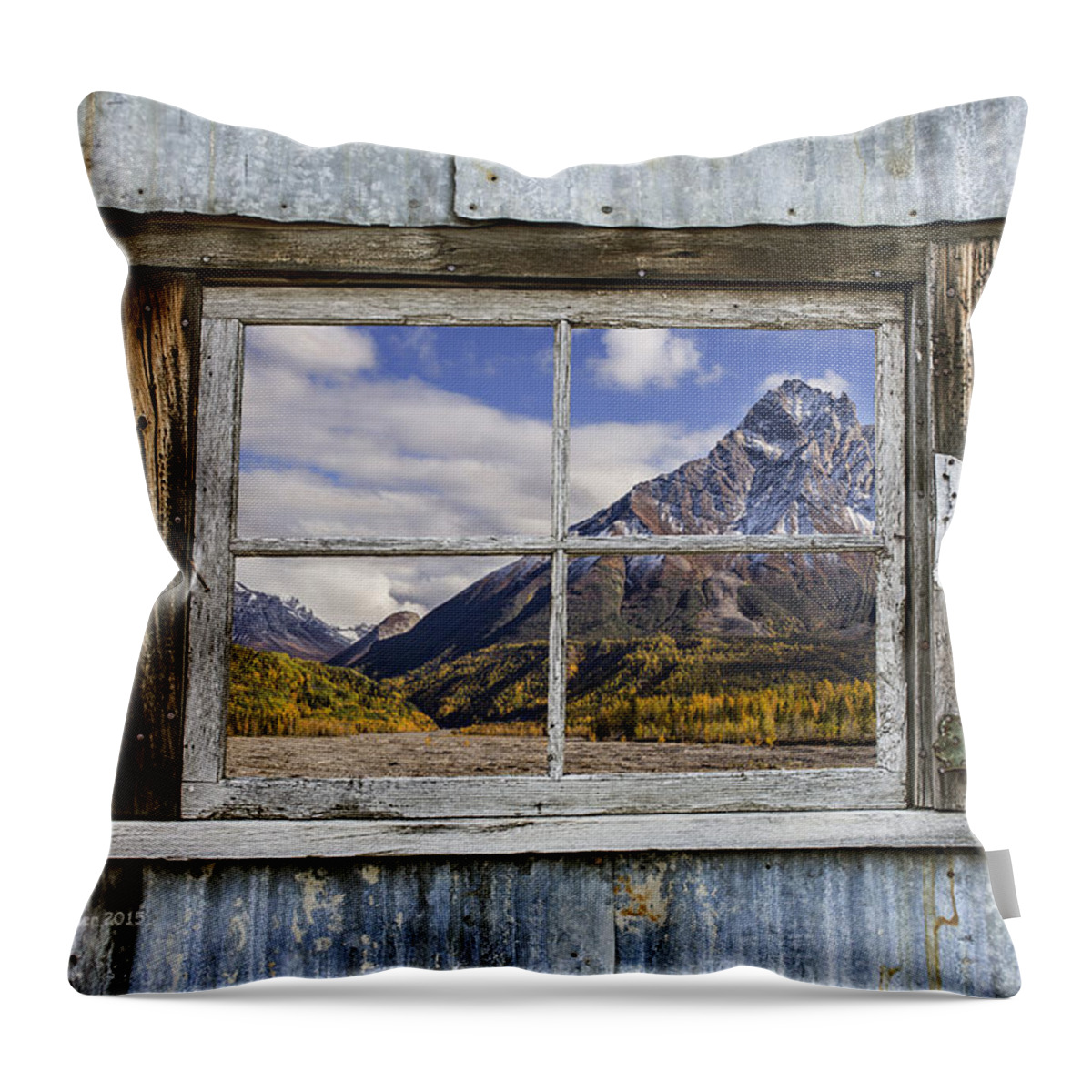 Window Throw Pillow featuring the photograph Through the Window of the Past by Fred Denner