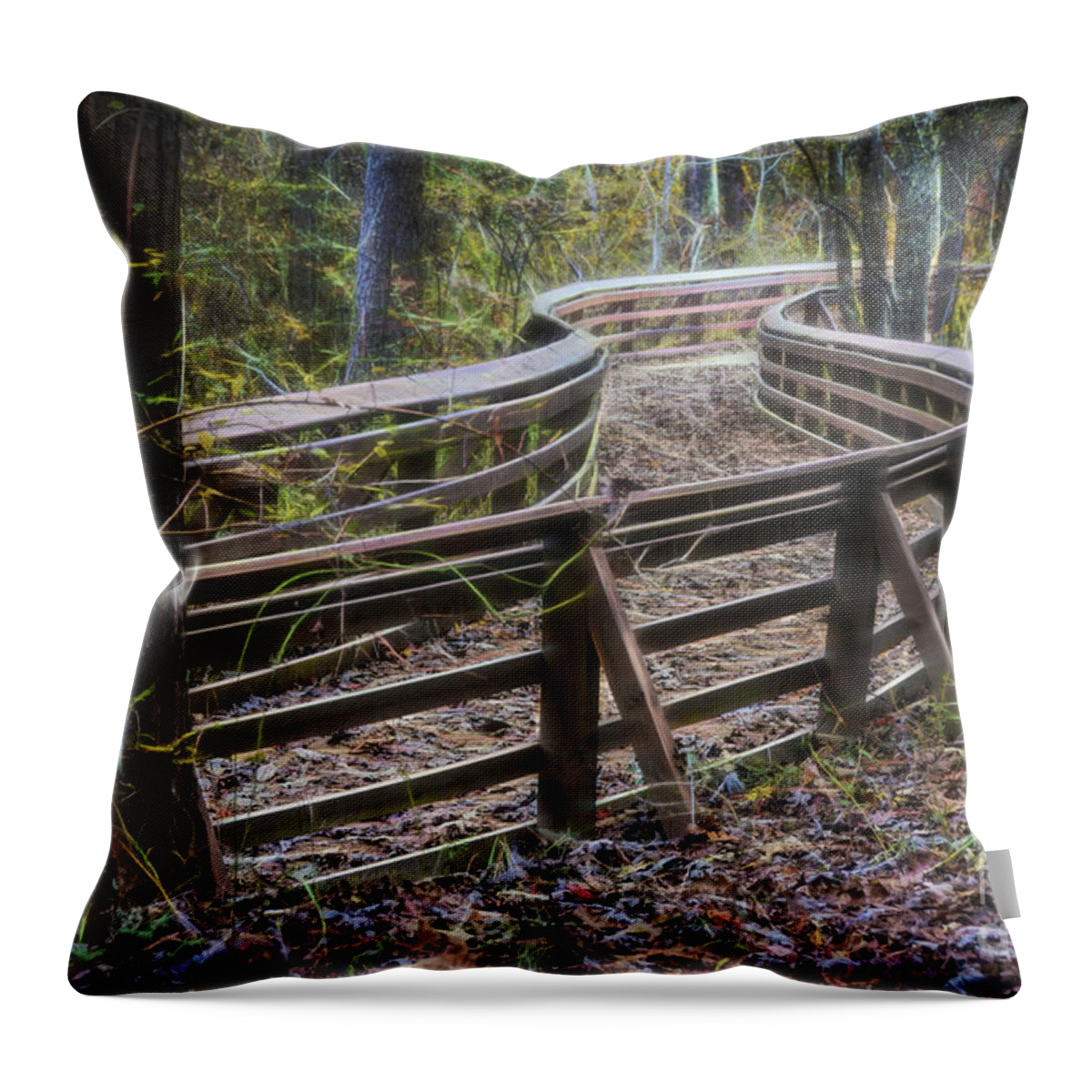 Pathway Throw Pillow featuring the photograph Through The Woods by Ken Johnson