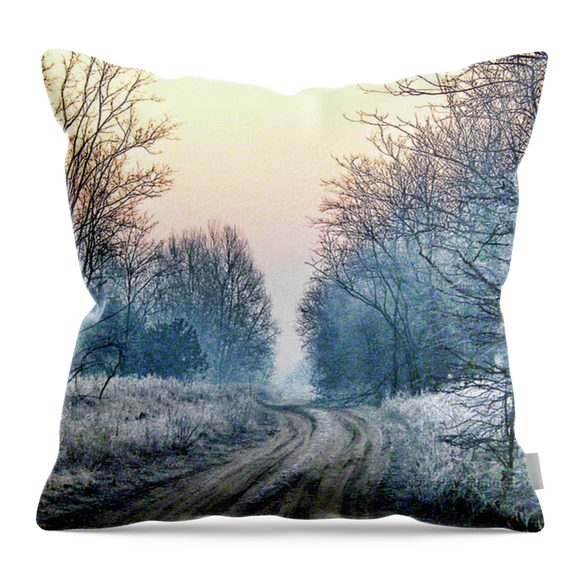 Woods Throw Pillow featuring the photograph Through the Woods by Mimulux Patricia No