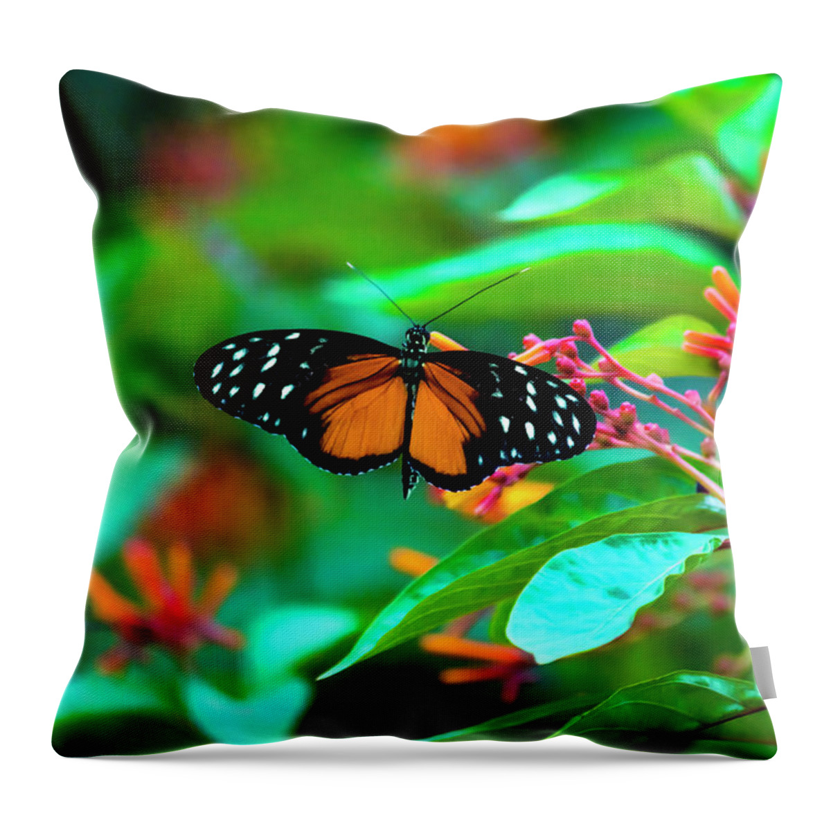 Tiger Longwing Butterfly Throw Pillow featuring the photograph Tiger Longwing Butterfly by David Morefield
