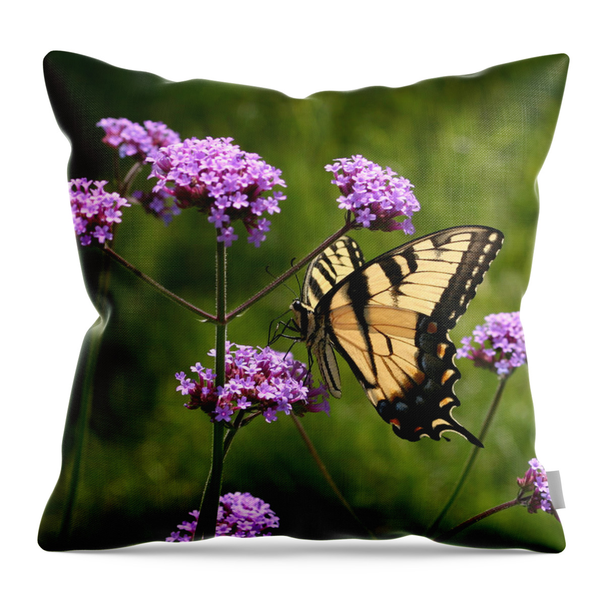 Butterfly Throw Pillow featuring the photograph Tiger Swallowtail Among the Verbena by Robert E Alter Reflections of Infinity