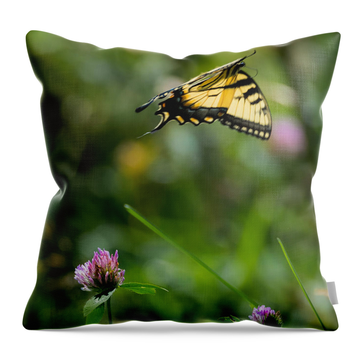 Tiger Swallowtail Butterfly In Flight Throw Pillow featuring the photograph Tiger Swallowtail Butterfly In Flight by Holden The Moment
