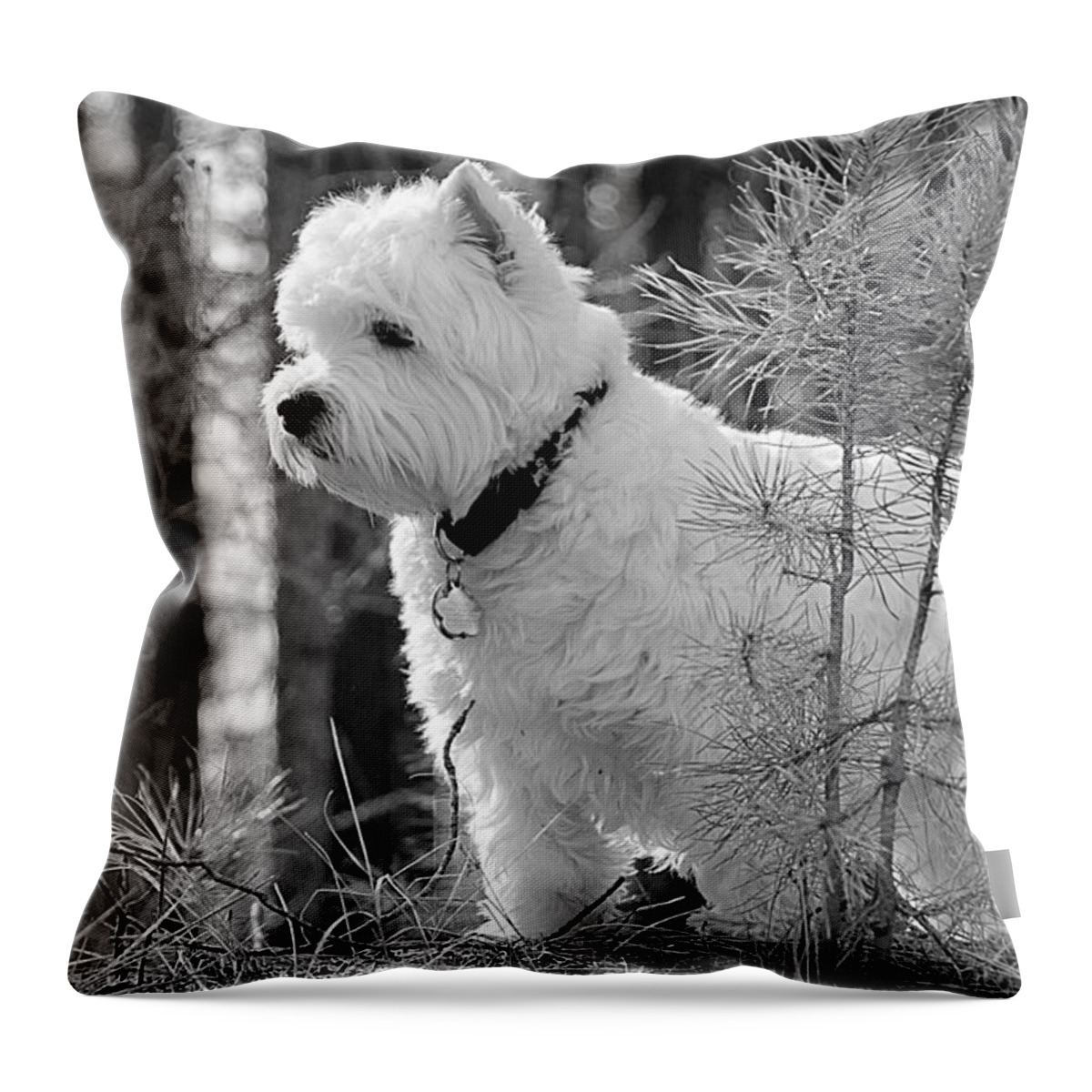 Animal Throw Pillow featuring the photograph Tillie in black and white by Debra Baldwin