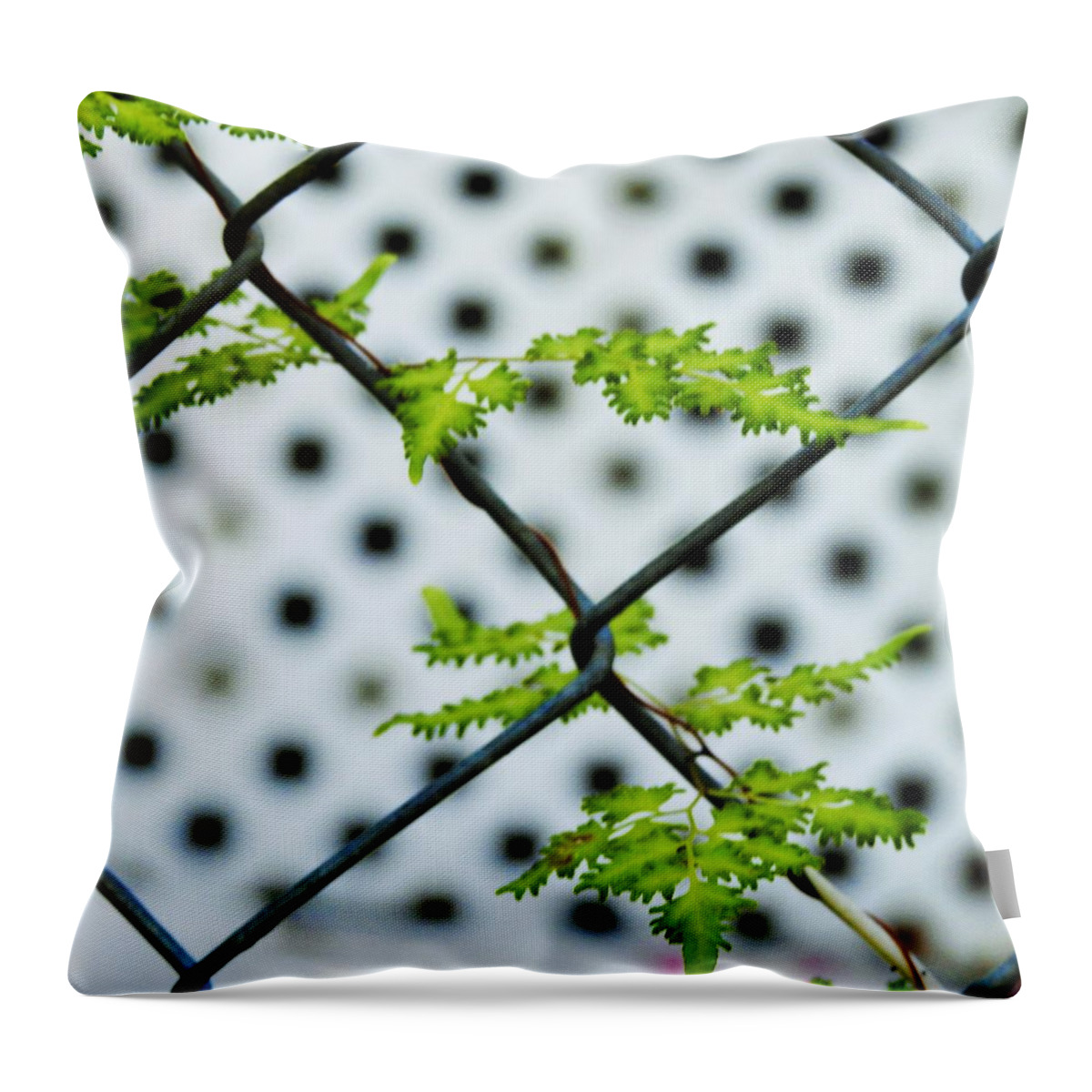 Weed Gardening Vine Green Fern Nature Landscape Pattern Abstract Art Photography Fence Grow White Lattice Background Landscape Garden Throw Pillow featuring the photograph Tiny Little Vine by Jan Gelders