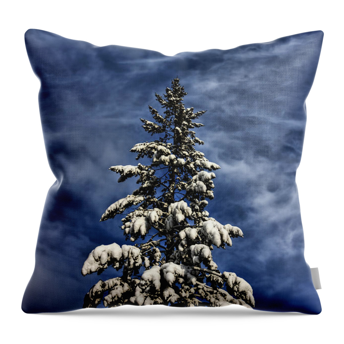 Spruce Throw Pillow featuring the photograph To Blue Horizons by Evelina Kremsdorf