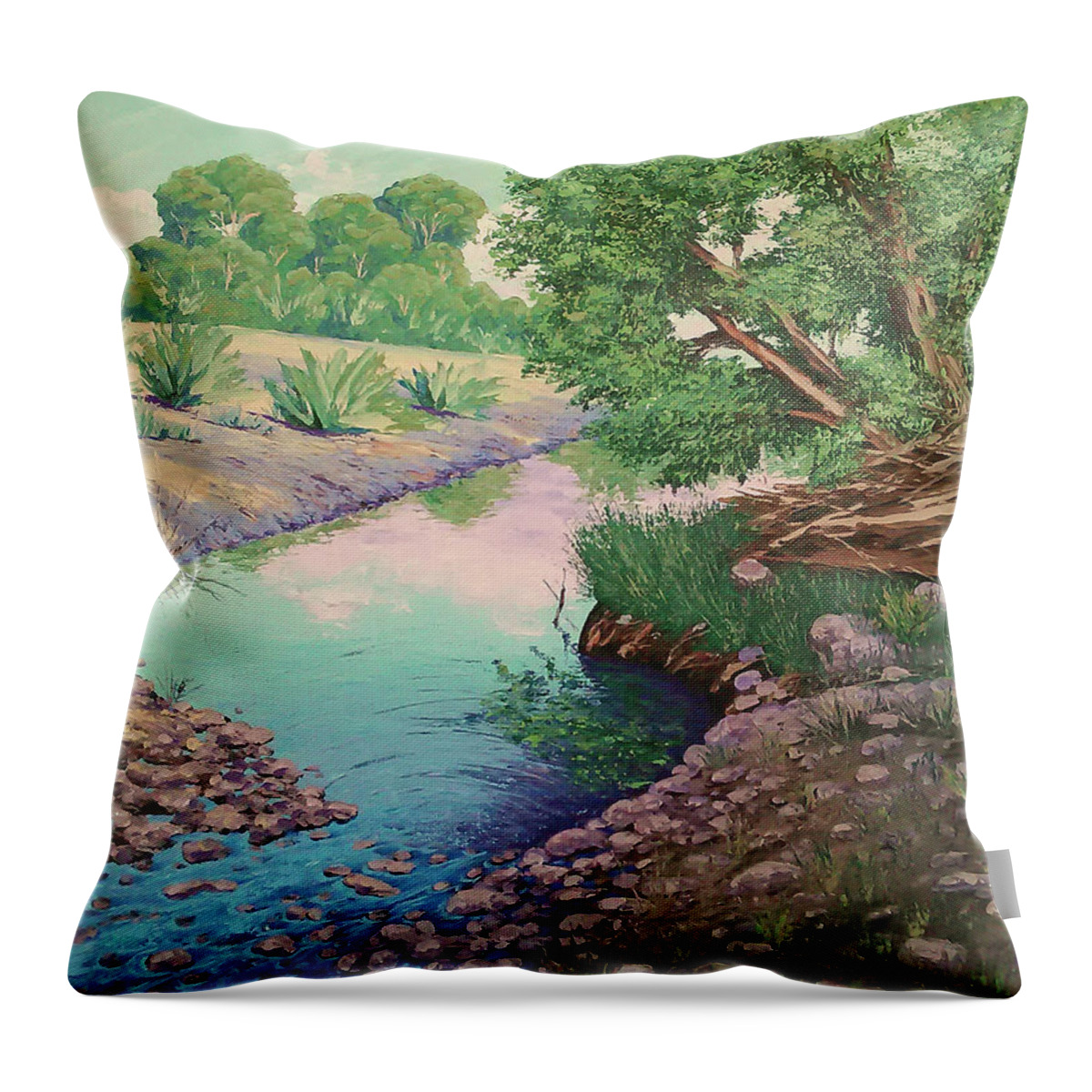 Tonto National Forest Throw Pillow featuring the painting Tonto Creek by Cheryl Fecht
