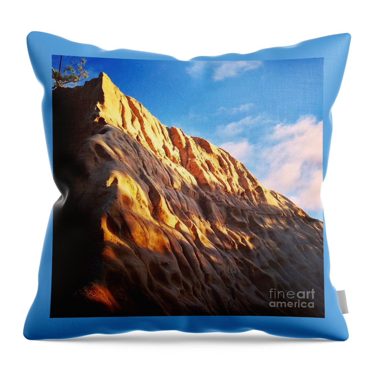 Torrey Pines State Reserve Throw Pillow featuring the photograph Torrey Pines State Reserve by Denise Railey
