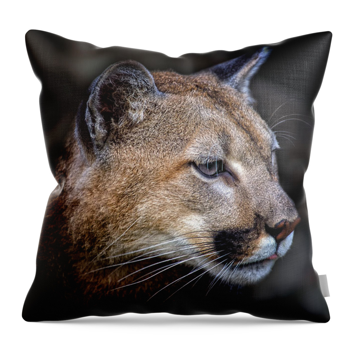 Crystal Yingling Throw Pillow featuring the photograph Totem by Ghostwinds Photography