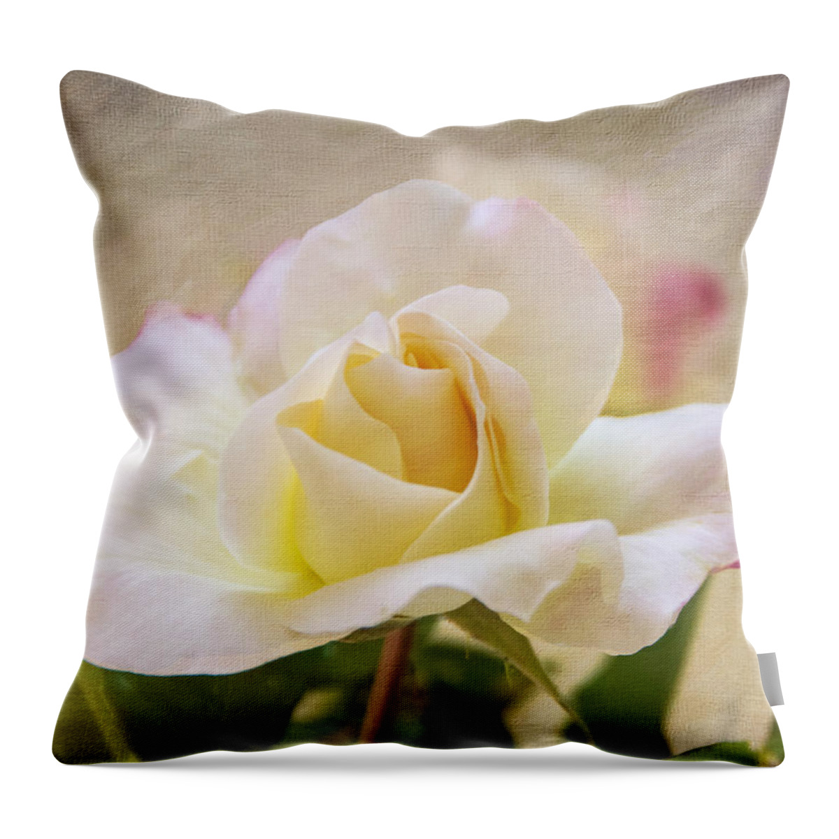 Rose Throw Pillow featuring the photograph Touch Of Pink by Cathy Kovarik