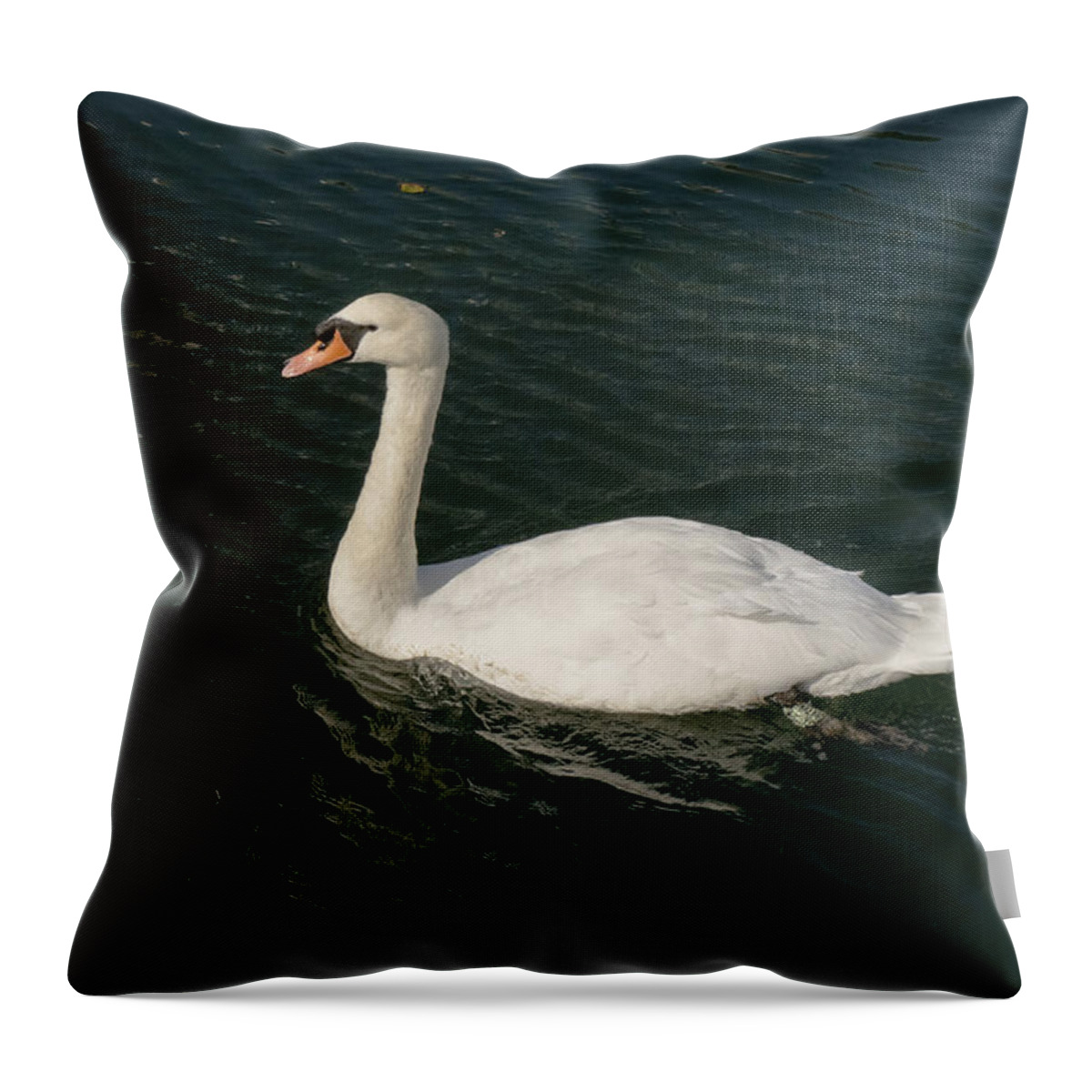 Swan Throw Pillow featuring the photograph Tour de Swan. Trois. by Elena Perelman