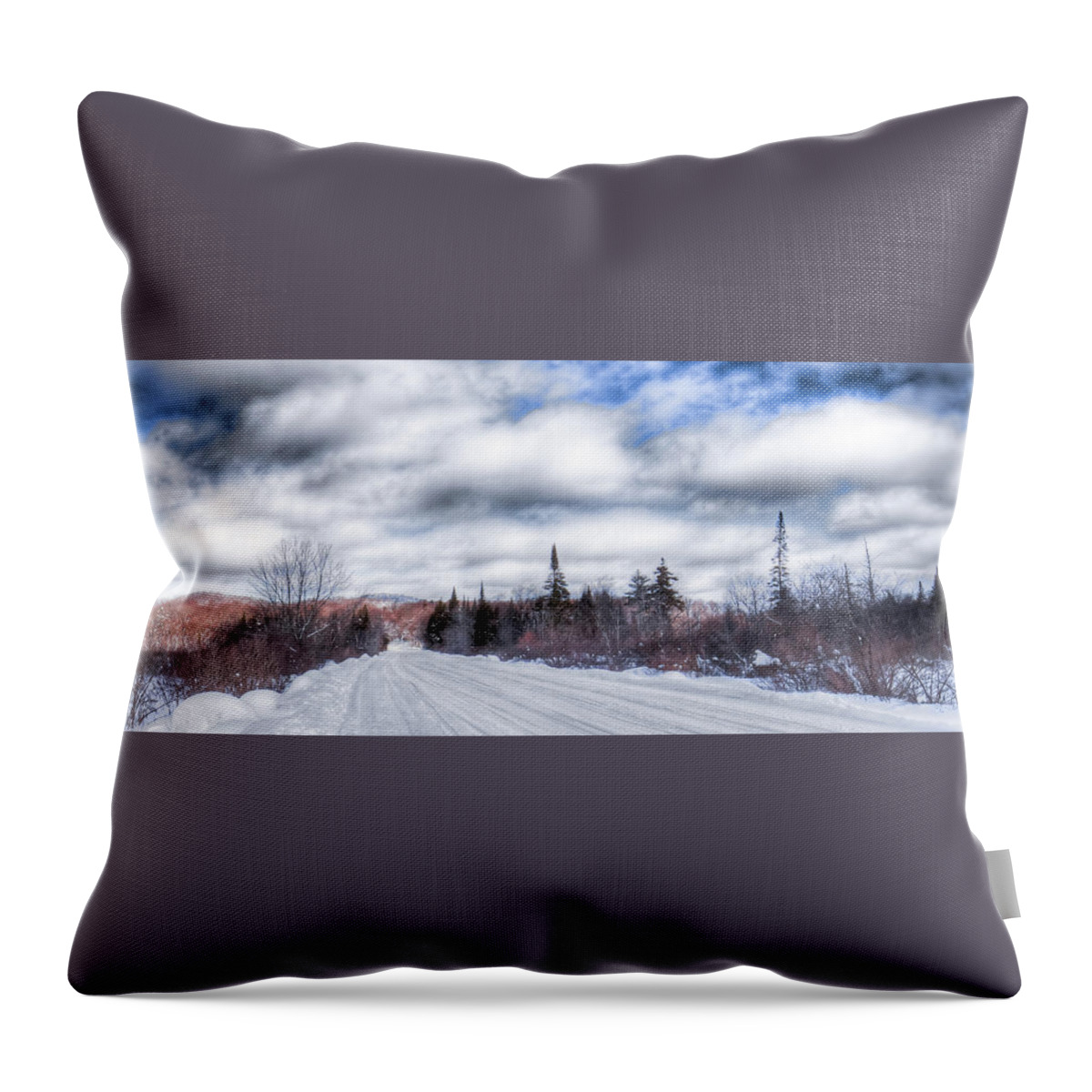 Landscapes Throw Pillow featuring the photograph Trail One in Old Forge by David Patterson