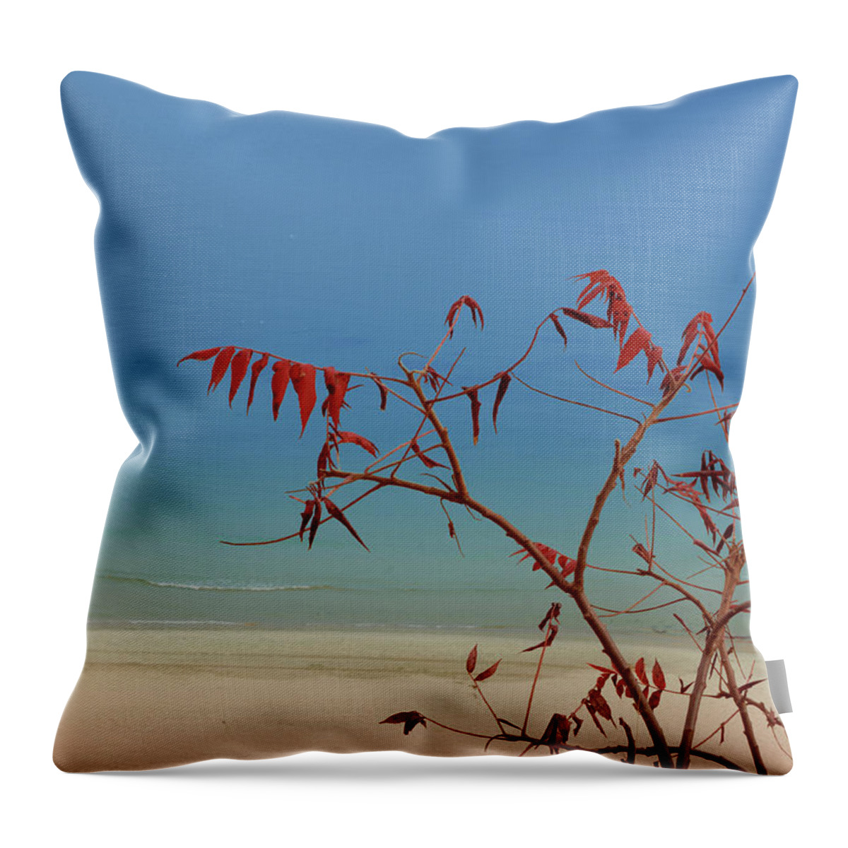 Landscape Throw Pillow featuring the photograph Tranquil Blue by Arthur Fix