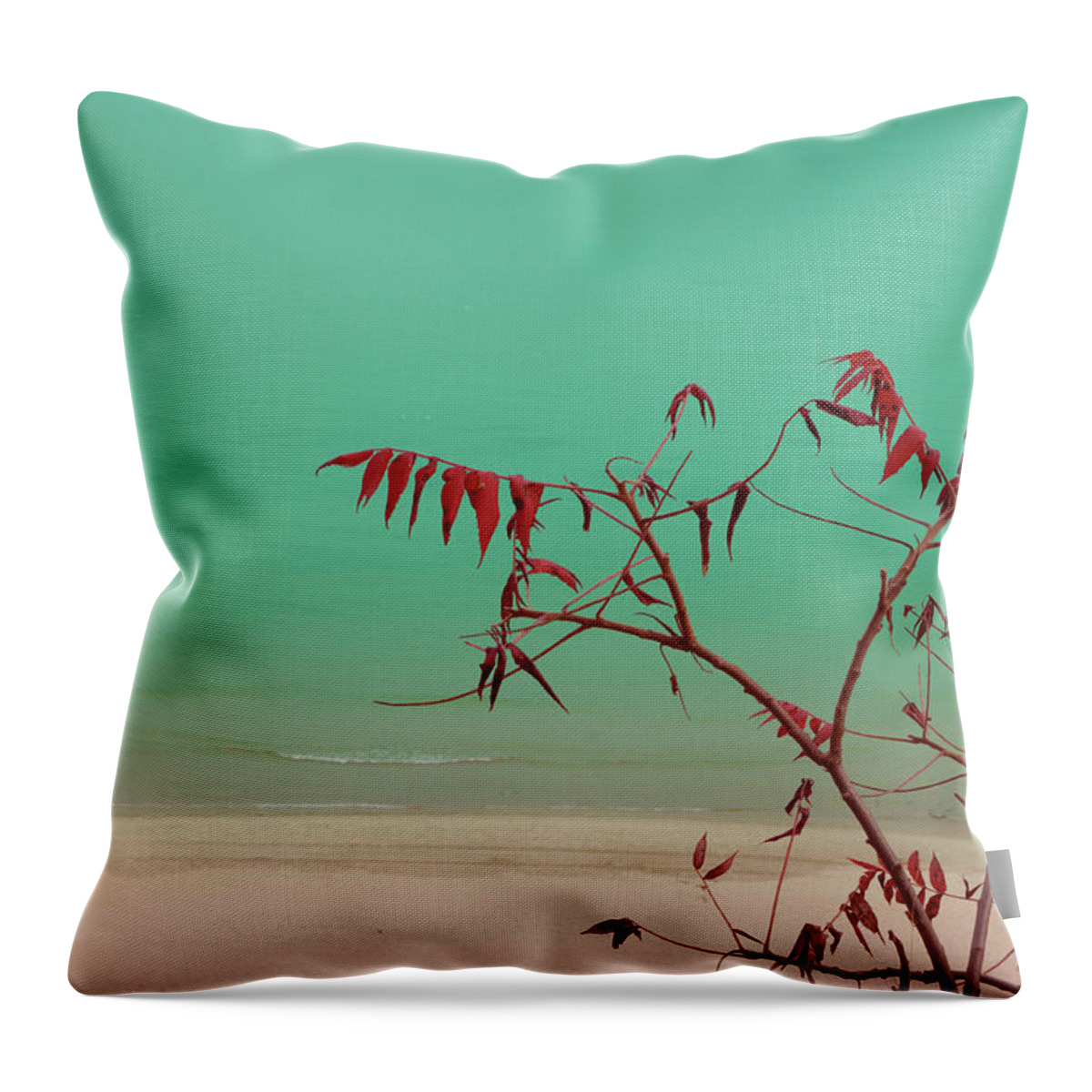 Beach Throw Pillow featuring the photograph Tranquil View by Arthur Fix