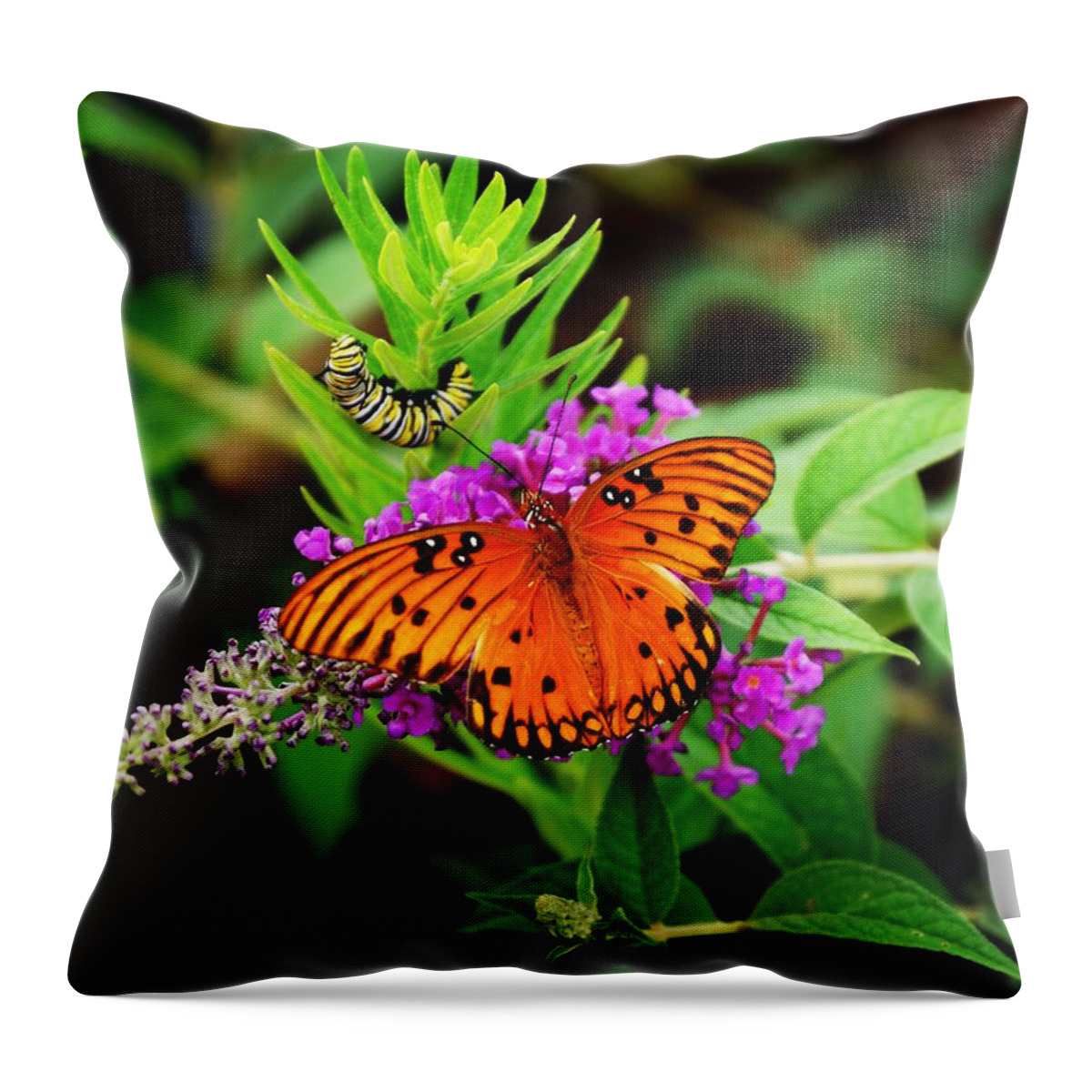  Throw Pillow featuring the photograph Transformation by Rodney Lee Williams