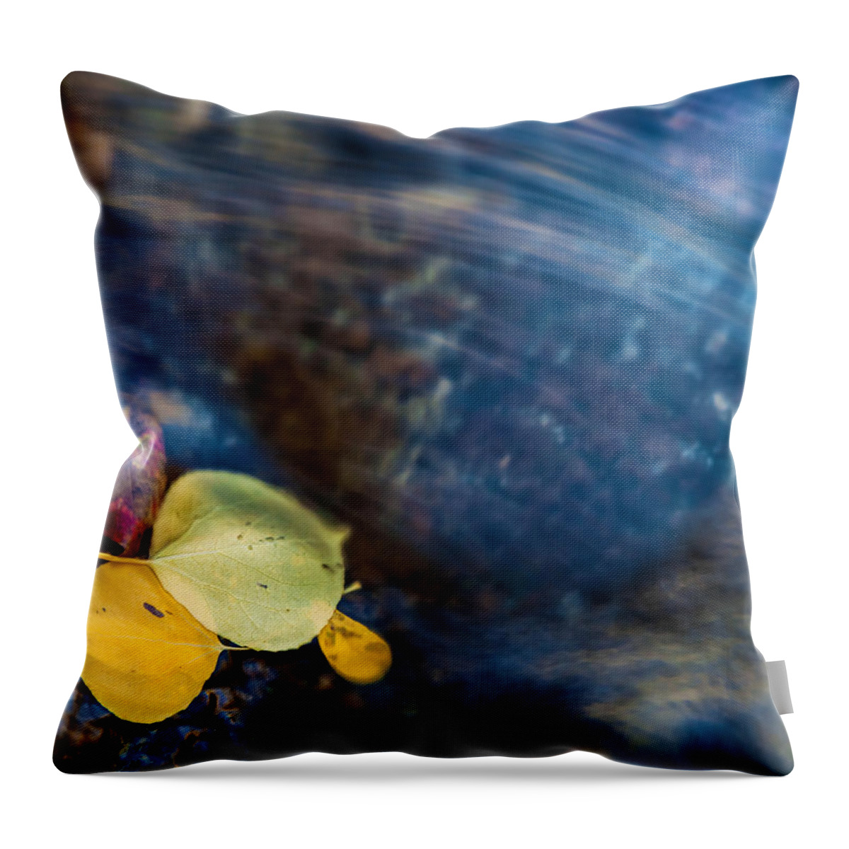 Fall Throw Pillow featuring the photograph Trapped by Jonathan Nguyen