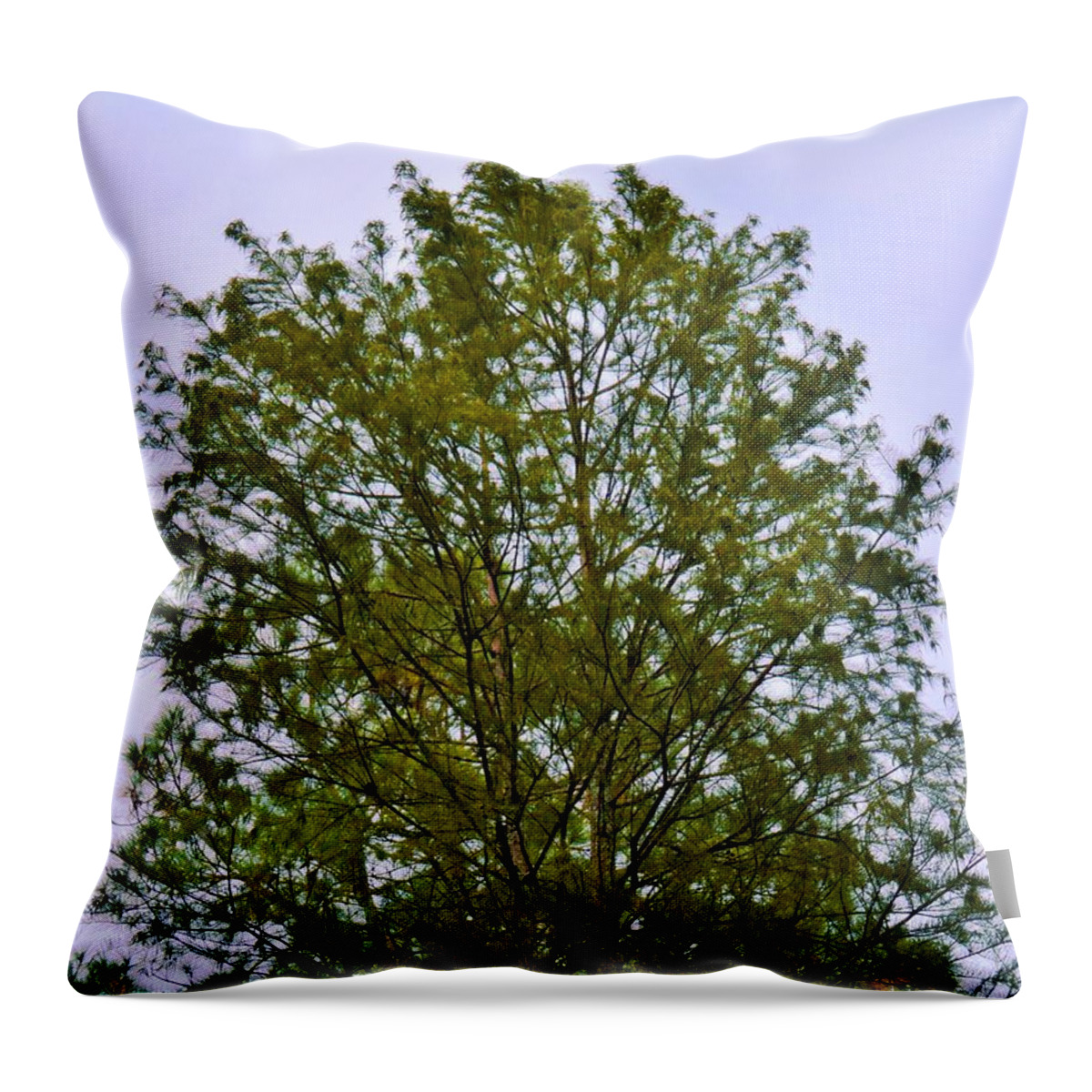 Tree Throw Pillow featuring the photograph Tree In Solitaire by Jan Gelders