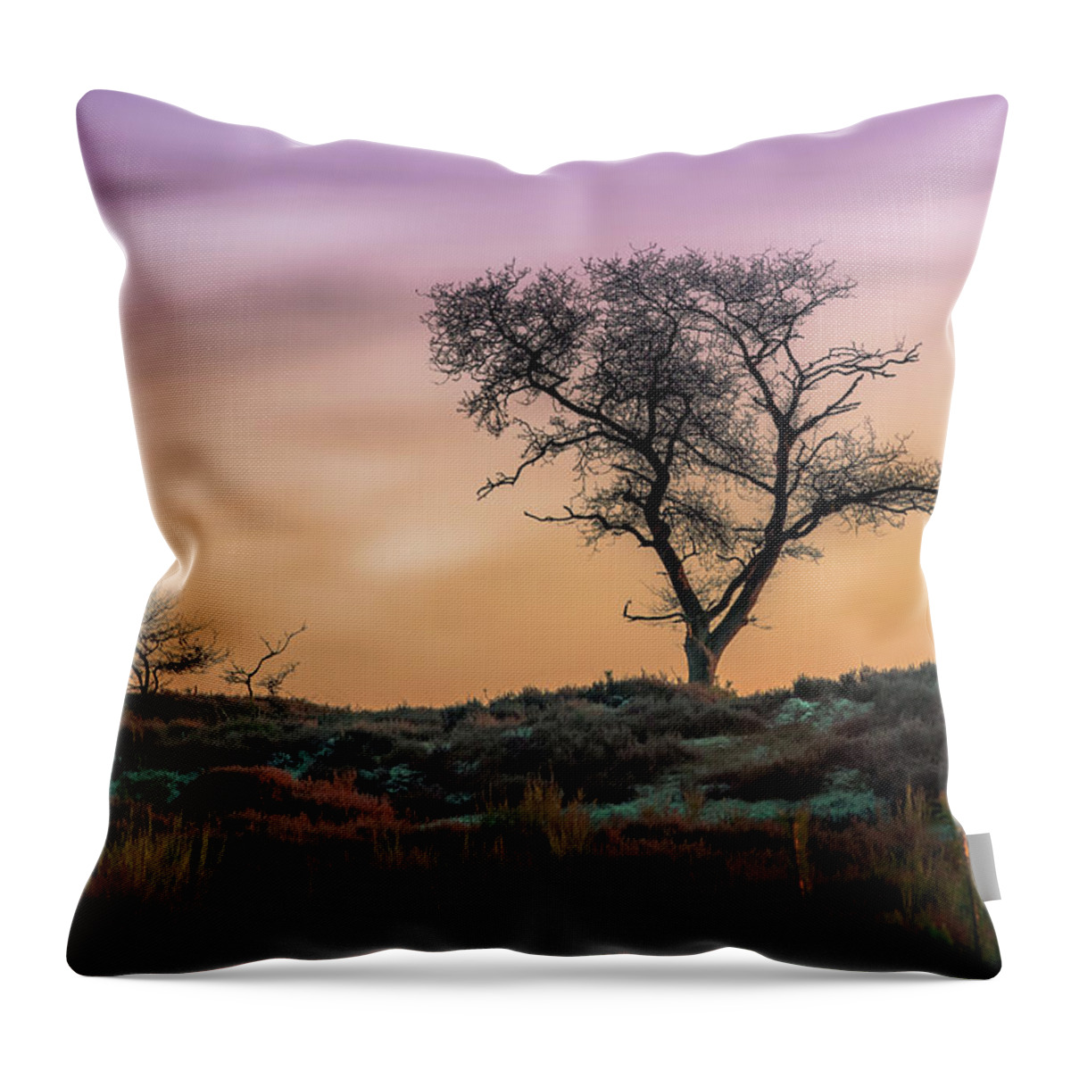 Silhouette Throw Pillow featuring the photograph Tree on the Hill by Tim Abeln