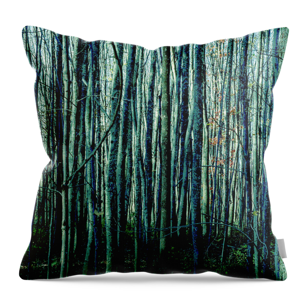 Treez Throw Pillow featuring the photograph Treez Cyan by Lon Dittrick