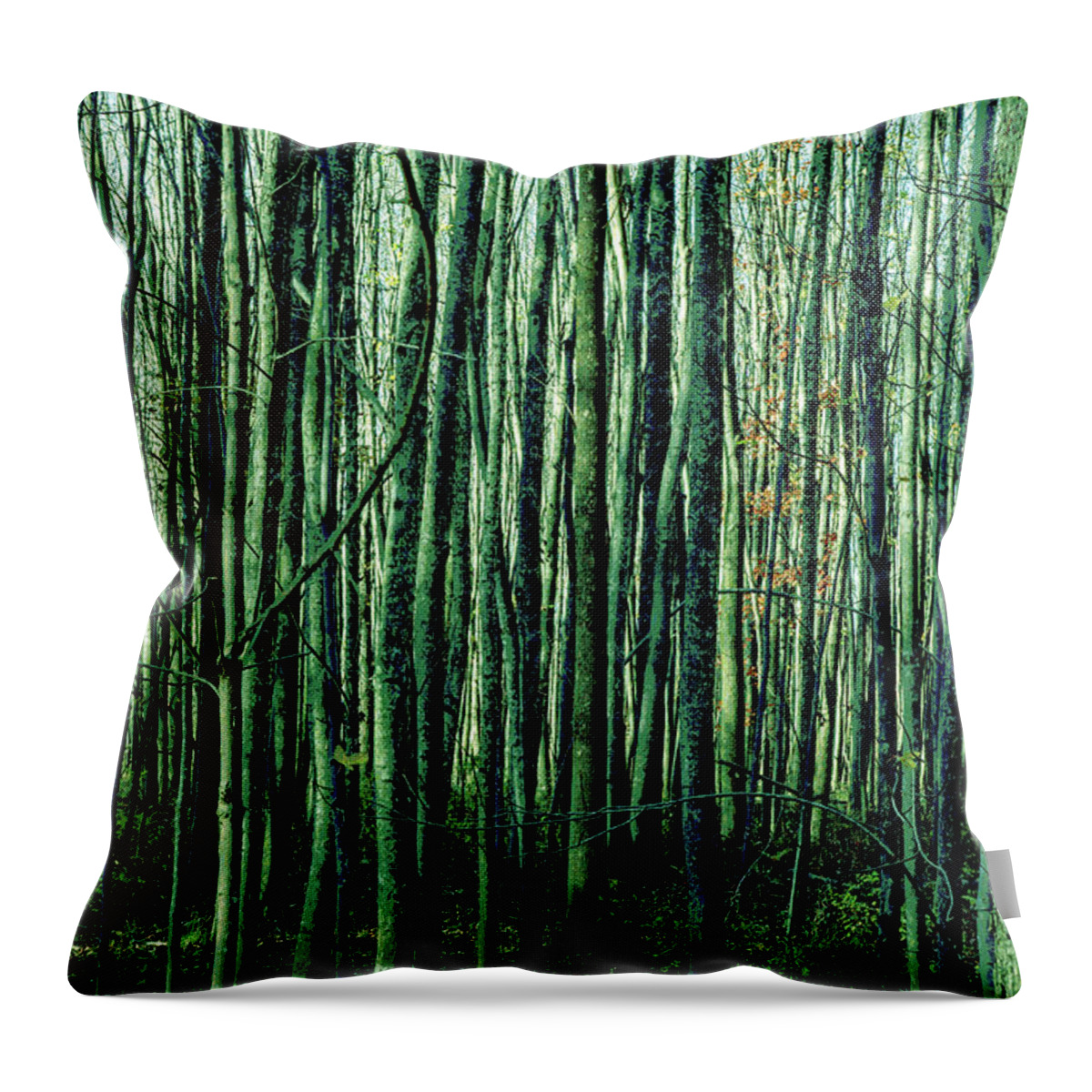 Green Throw Pillow featuring the photograph Treez Green by Lon Dittrick