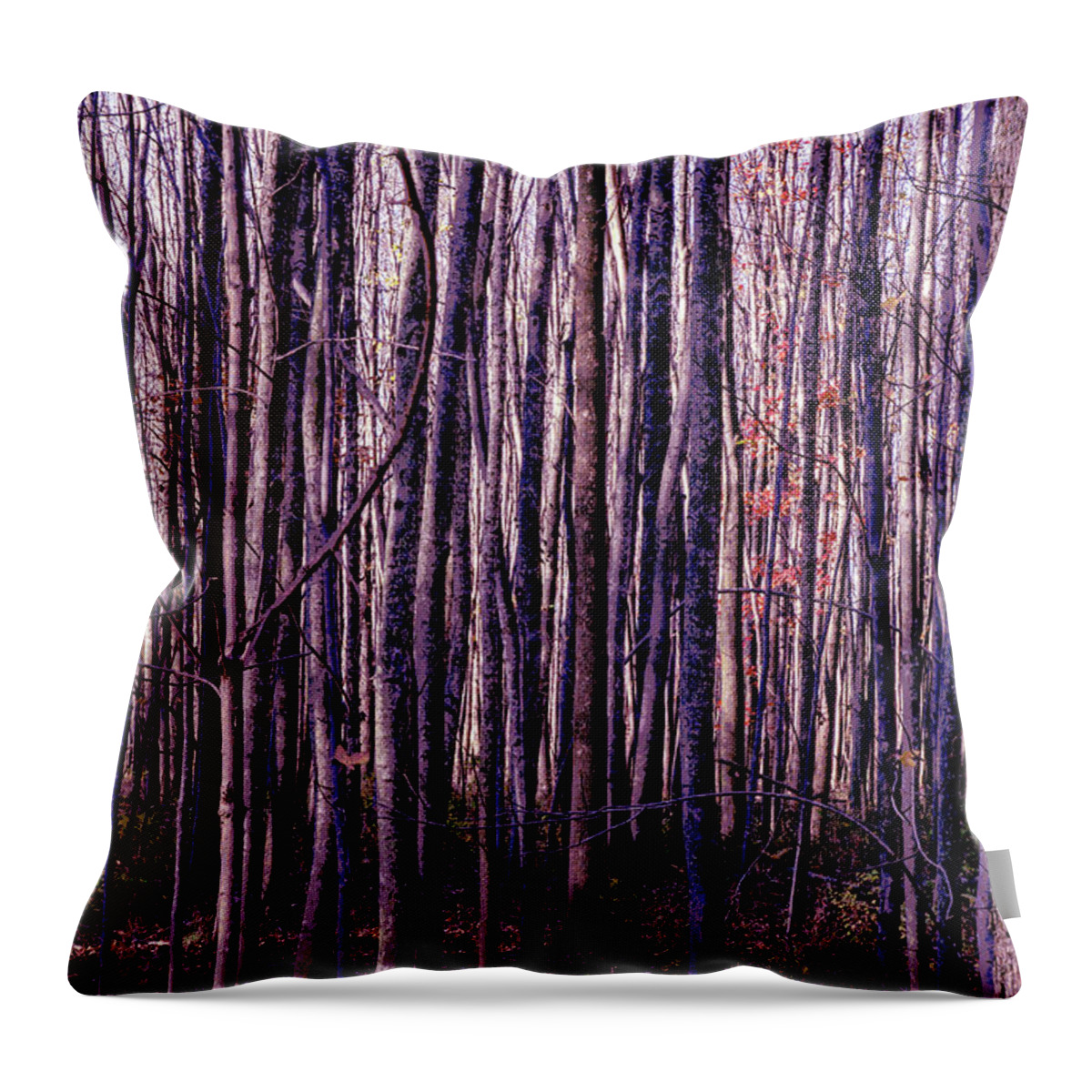 Treez Throw Pillow featuring the photograph Treez Magenta by Lon Dittrick