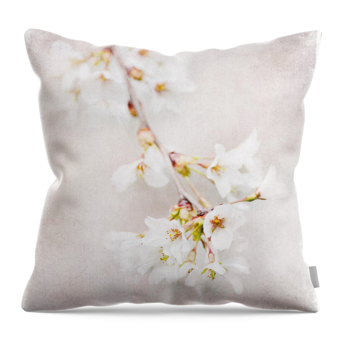 Flowers Throw Pillow featuring the photograph Triadelphia Cherry Blossoms by Jill Love