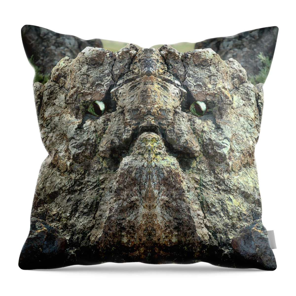 Rock Throw Pillow featuring the digital art Troll 8 by Rick Mosher