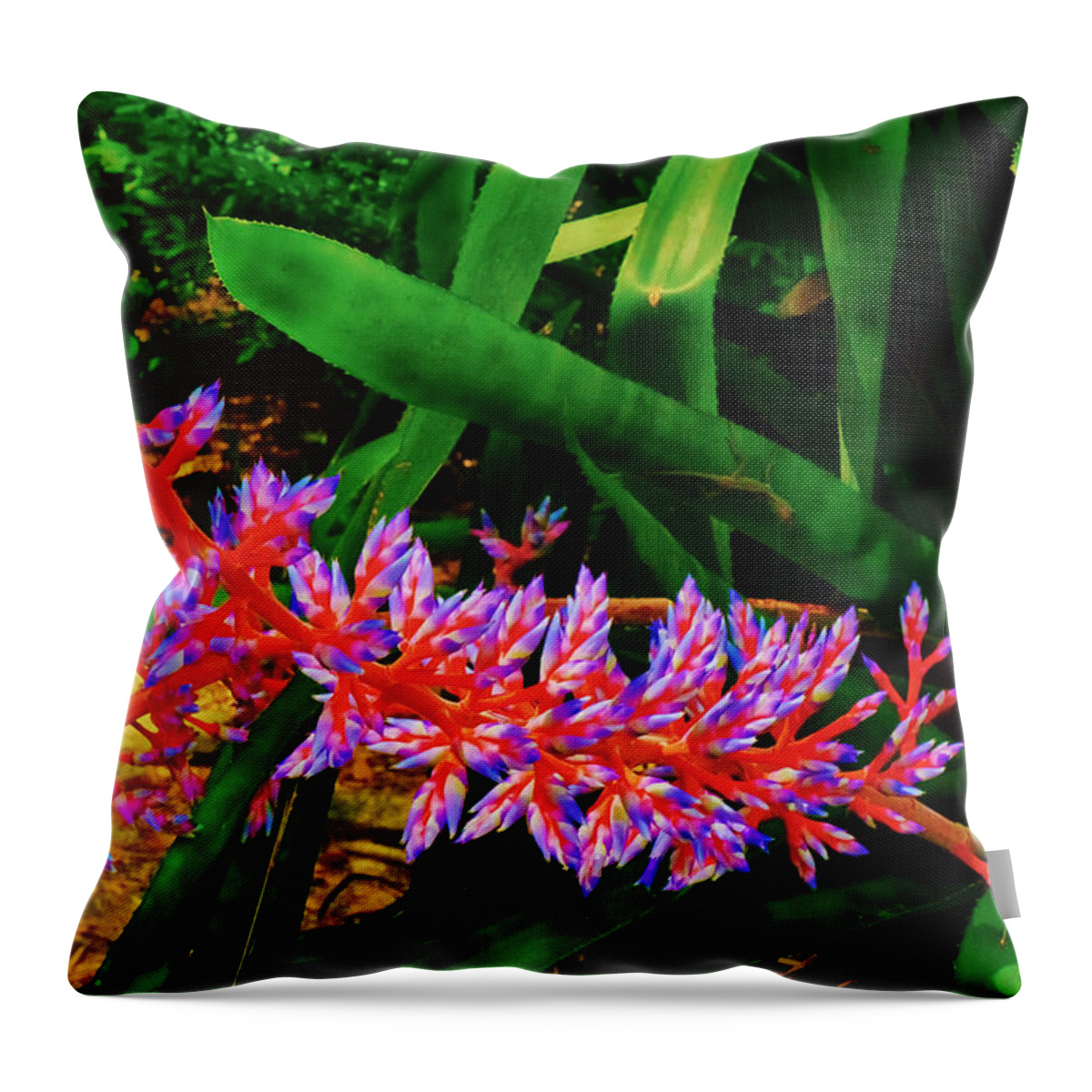 Light Throw Pillow featuring the photograph Tropical Flower by Amanda Jones