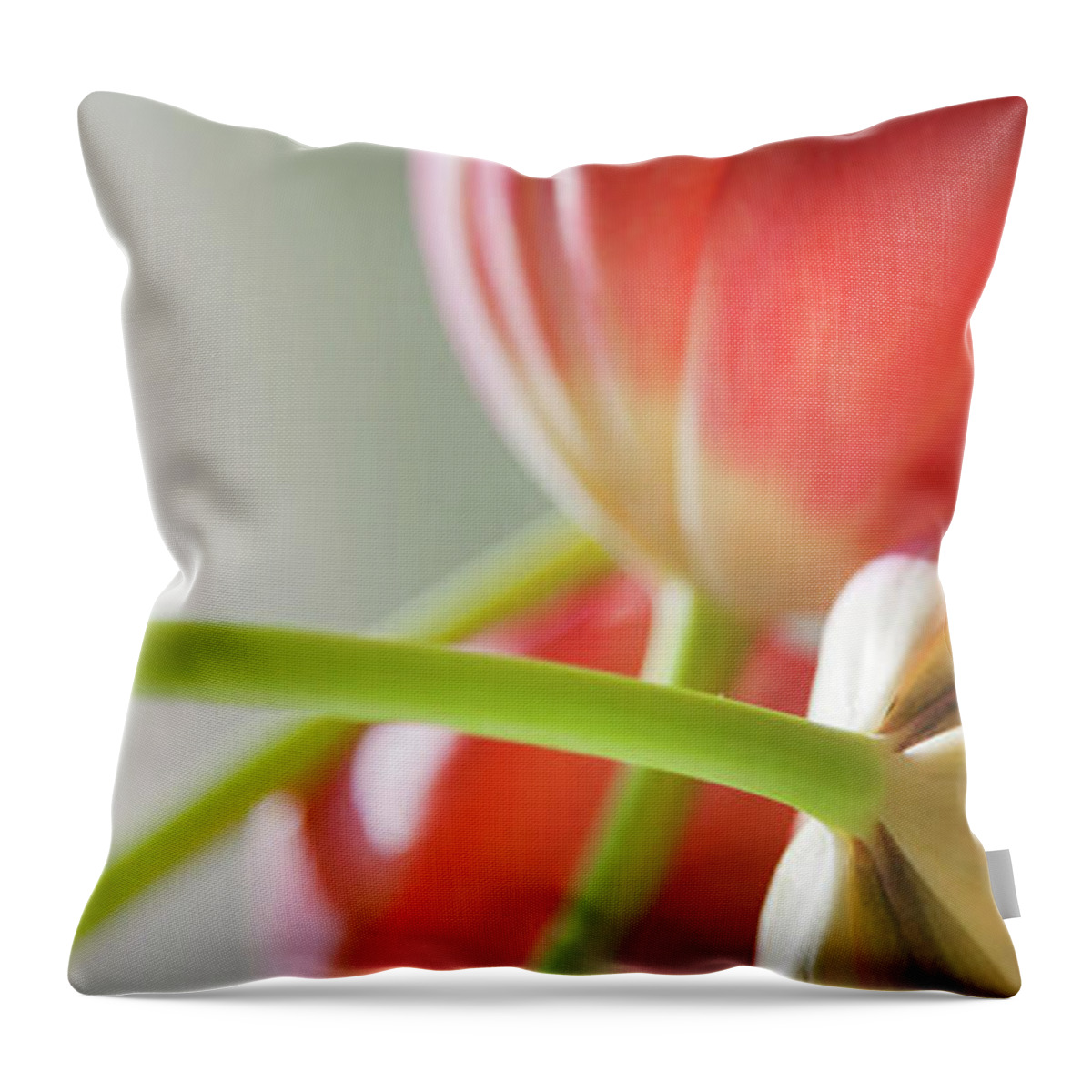 Floral Throw Pillow featuring the photograph Tulips In The Morning by Theresa Tahara