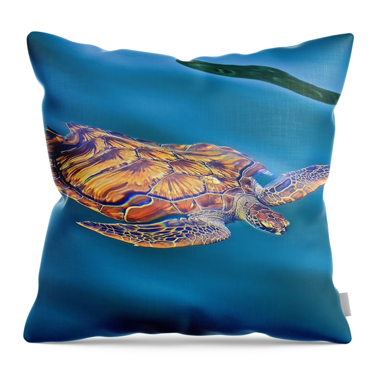 Turtle Throw Pillow featuring the photograph Turtle up by Peter Kennett