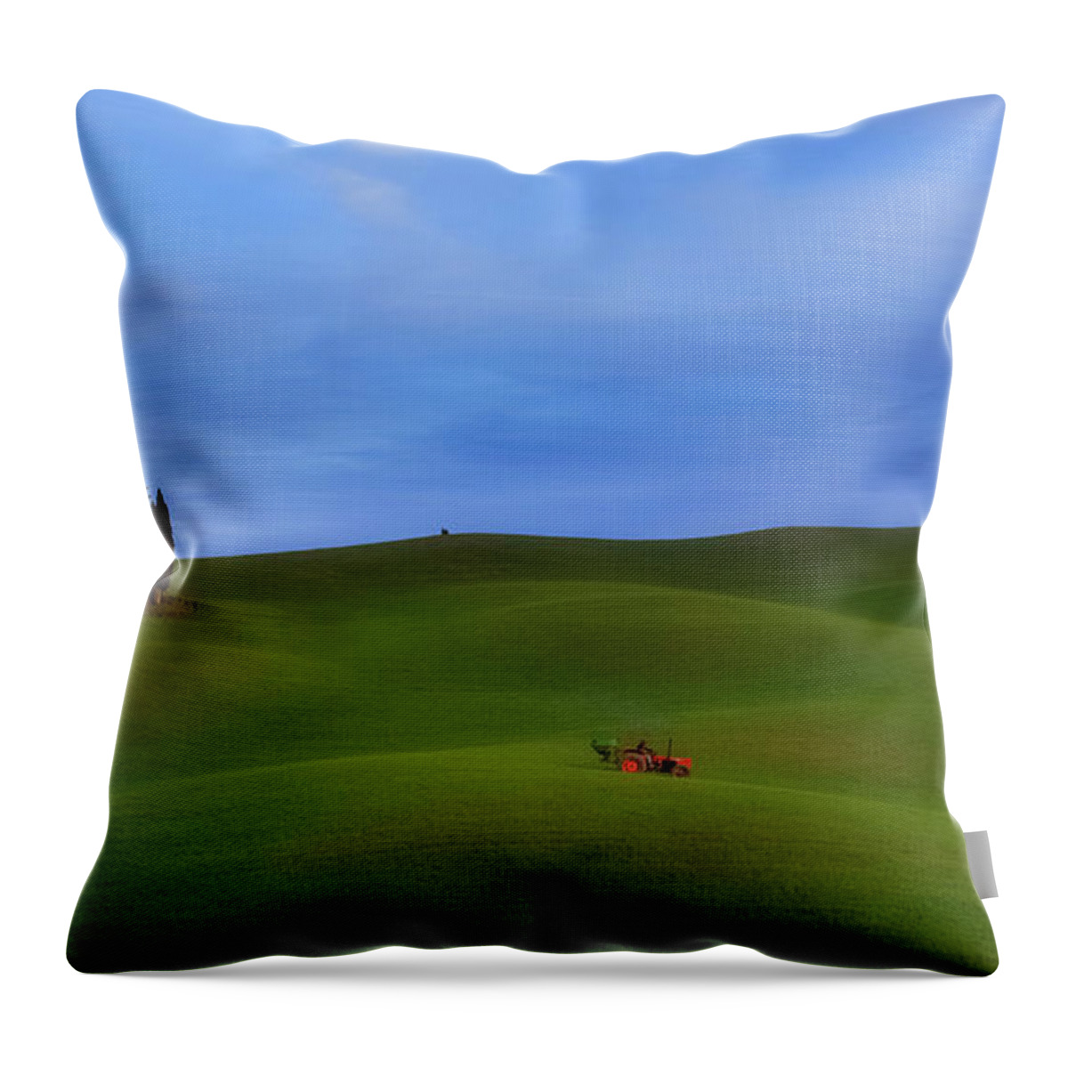 Tuscany Throw Pillow featuring the photograph Tuscan Landscaping by Rob Davies