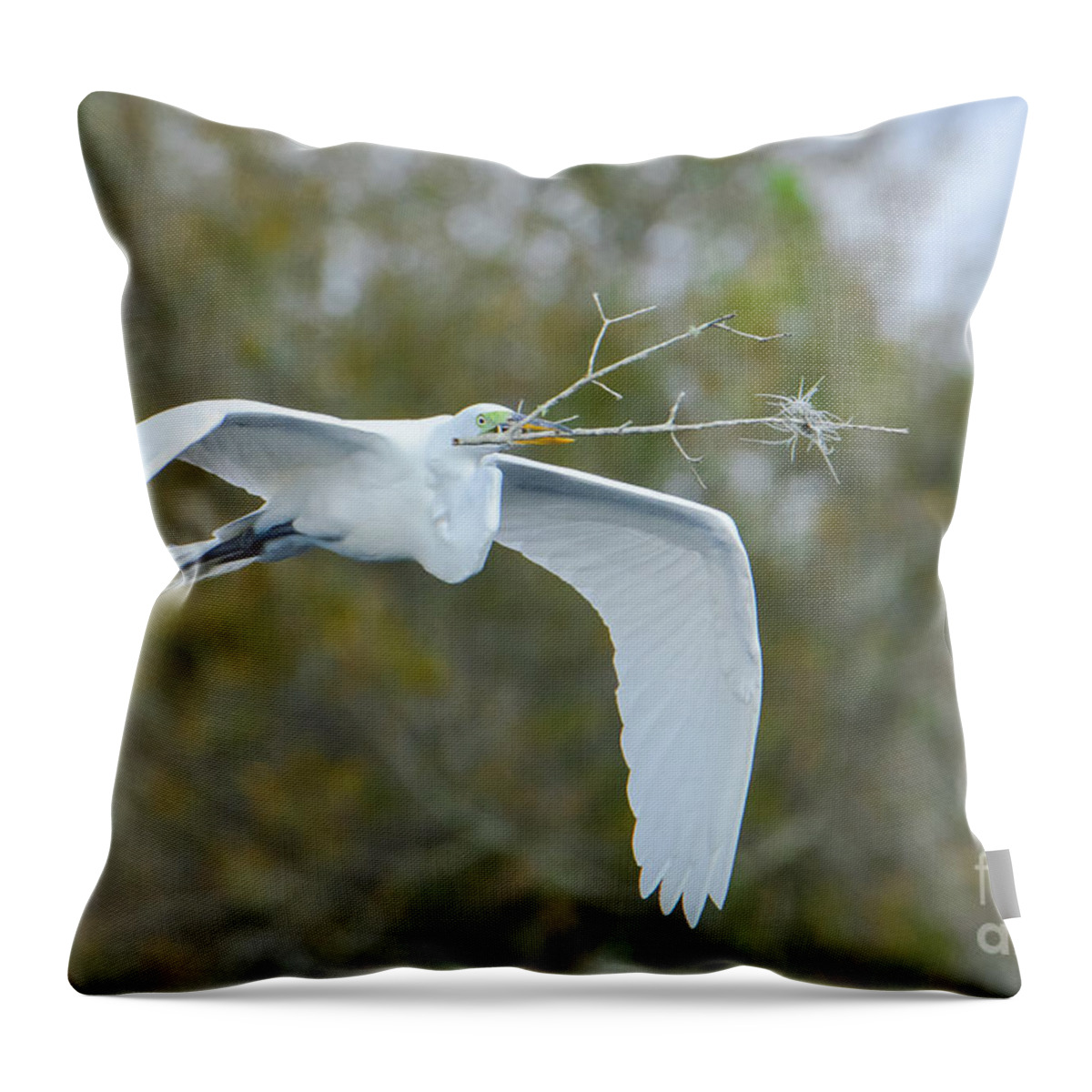 Great Throw Pillow featuring the photograph Twiggy by Quinn Sedam