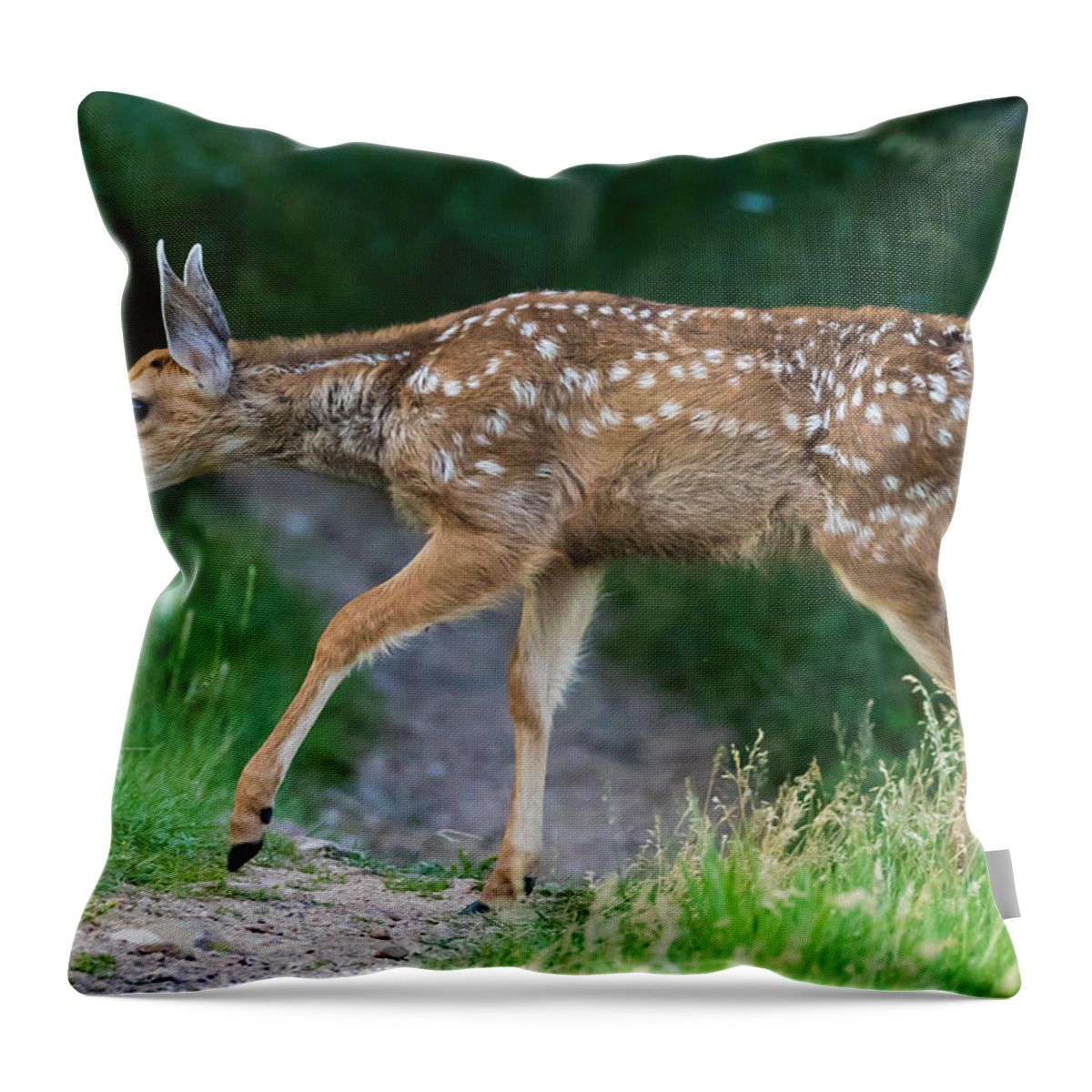 Mule Deer Fawn Throw Pillow featuring the photograph Twilight Fawn #4 by Mindy Musick King
