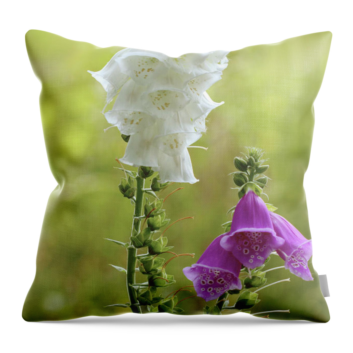Digitalis Throw Pillow featuring the photograph Twin Foxgloves by Baggieoldboy