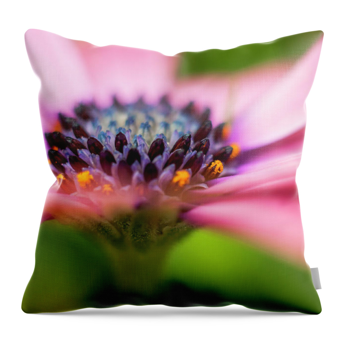 Flowers Throw Pillow featuring the photograph Whirling Dervish. by Usha Peddamatham