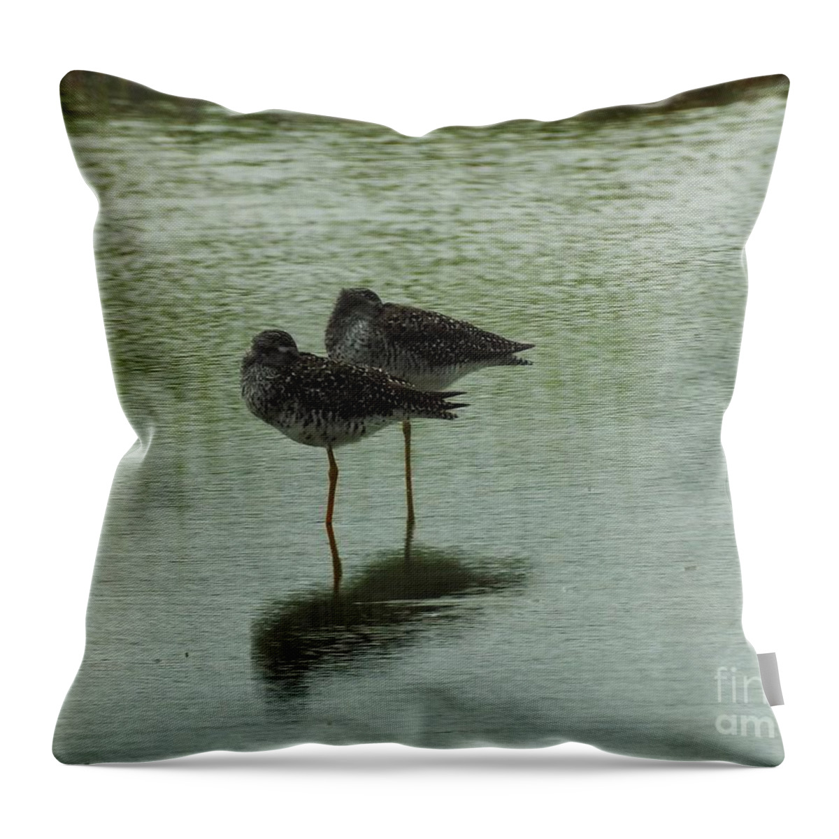 Birds Throw Pillow featuring the photograph Two Birds In The Marsh by Jan Gelders