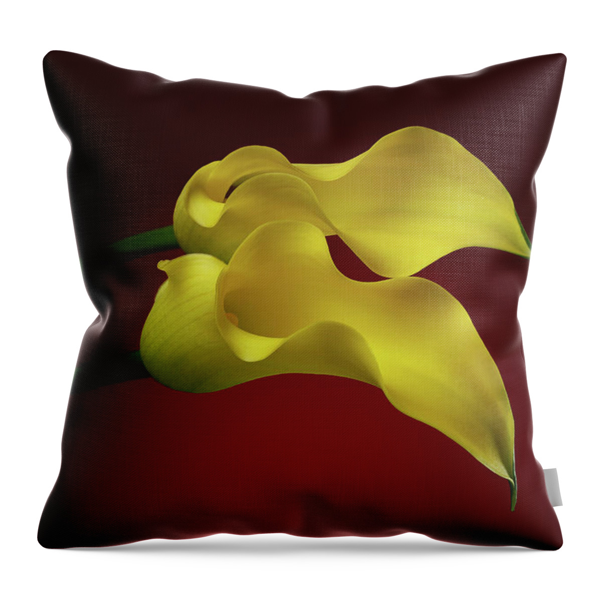 Calla Throw Pillow featuring the photograph Two Calla Lily Flowers on Red background by Sergey Taran