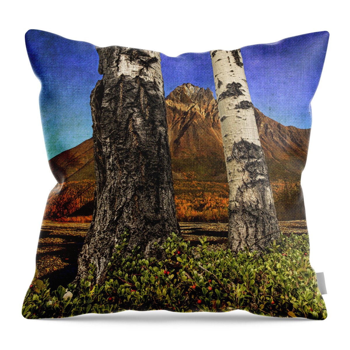 Trees Throw Pillow featuring the photograph Two Cottonwood Trees and Kinnikinnik by Fred Denner