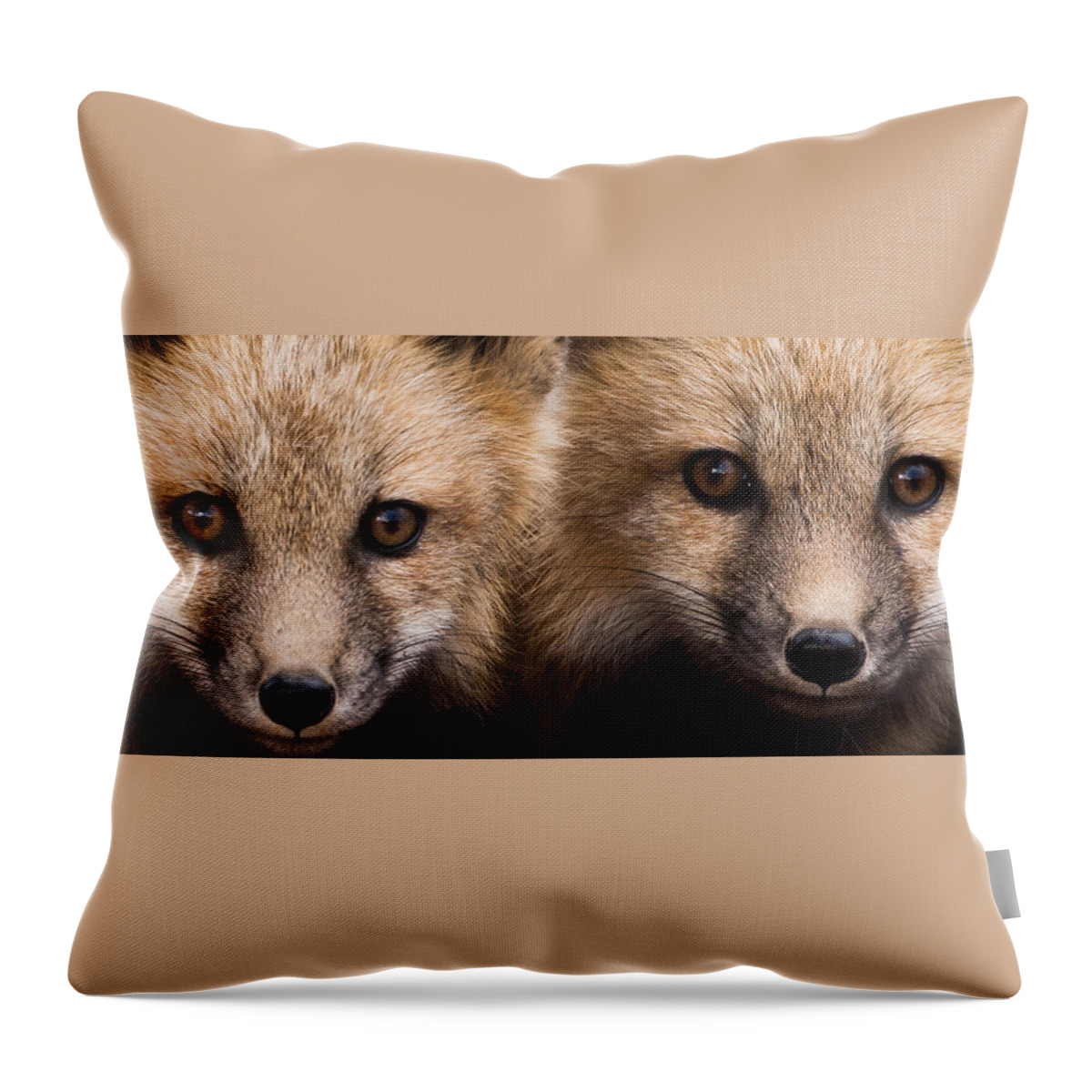 Red Fox Throw Pillow featuring the photograph Two Fox Kits by Mindy Musick King