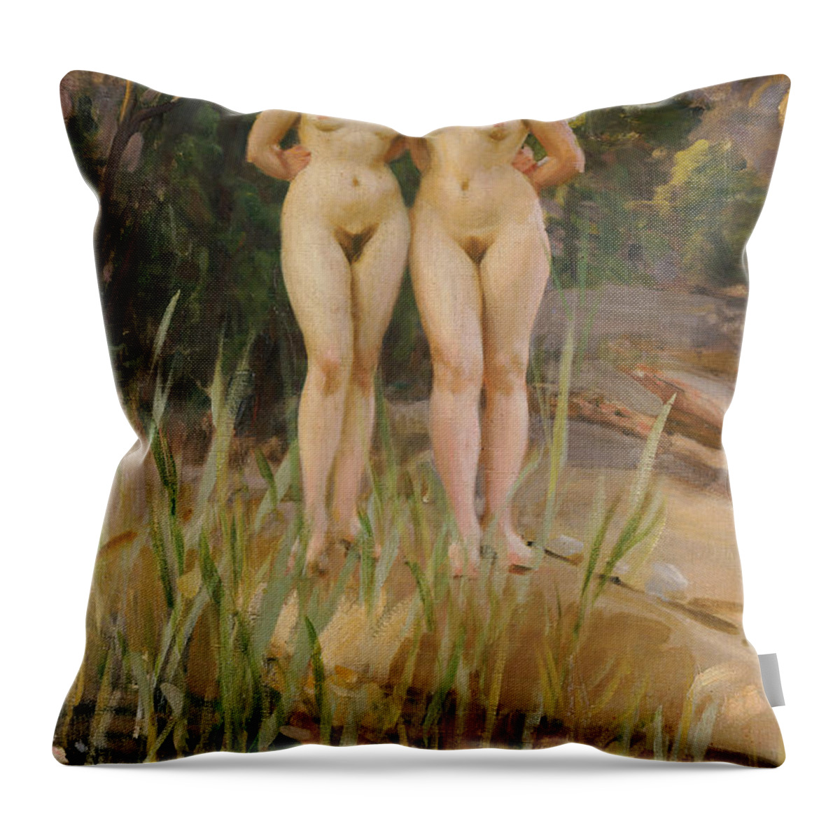 Nude Throw Pillow featuring the painting Two Friends by Anders Leonard Zorn