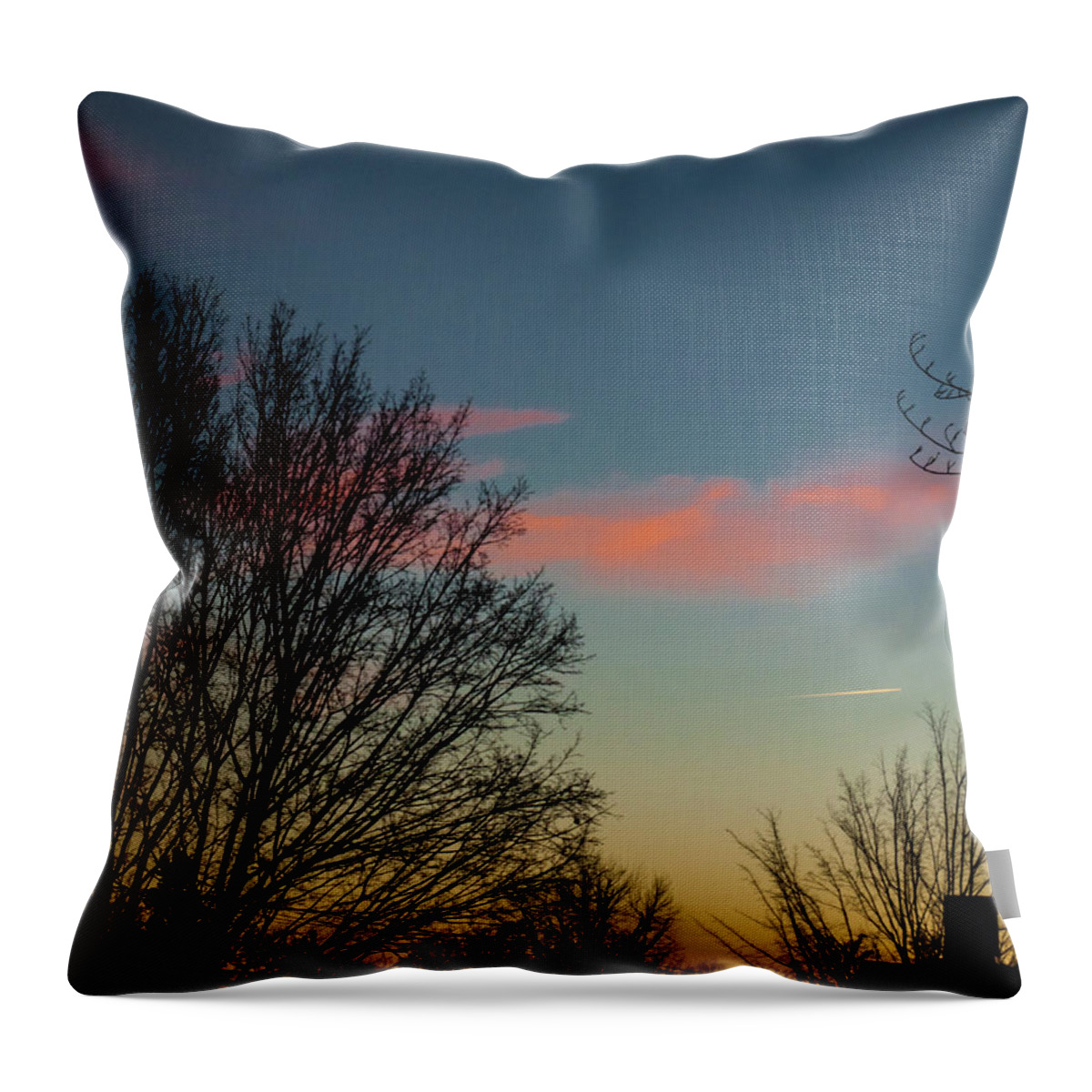 Planes Throw Pillow featuring the photograph Two Planes by Randy Sylvia