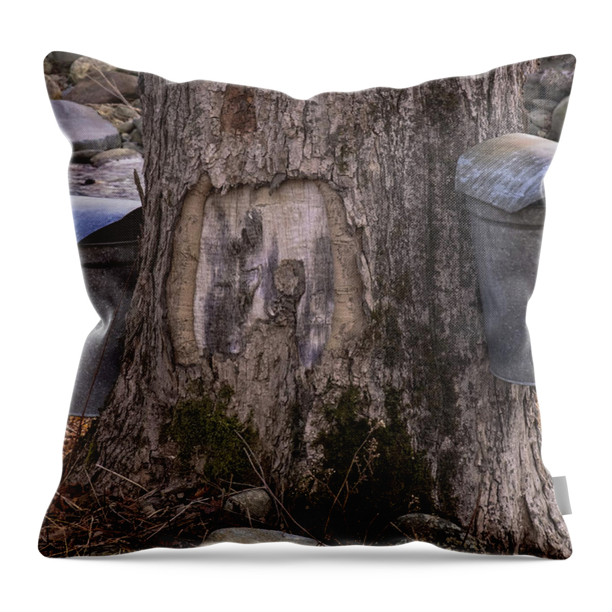 Maple Trees Throw Pillow featuring the photograph Two Syrup Buckets by Tom Singleton