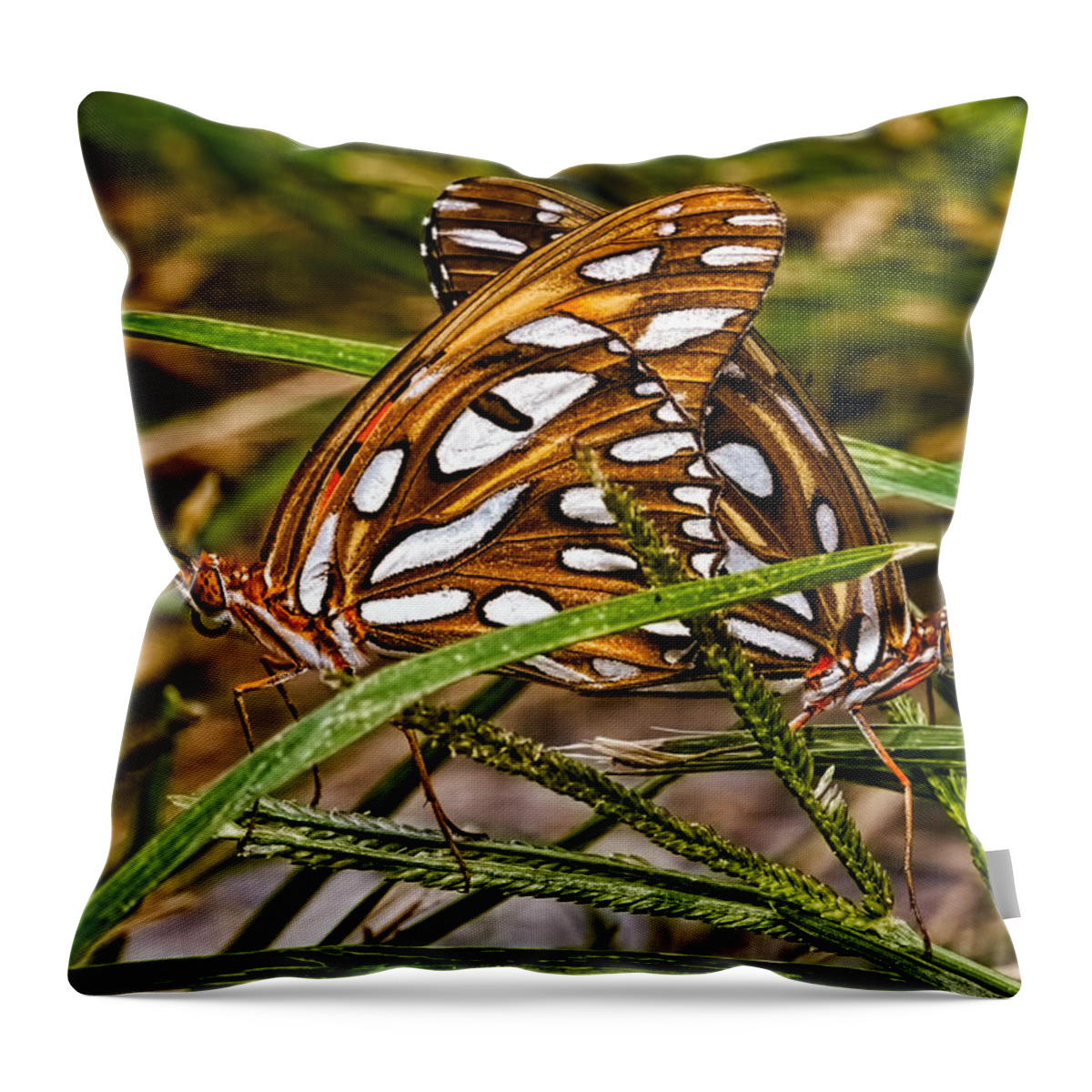 Photograph Throw Pillow featuring the photograph Two To Tango by Christopher Holmes