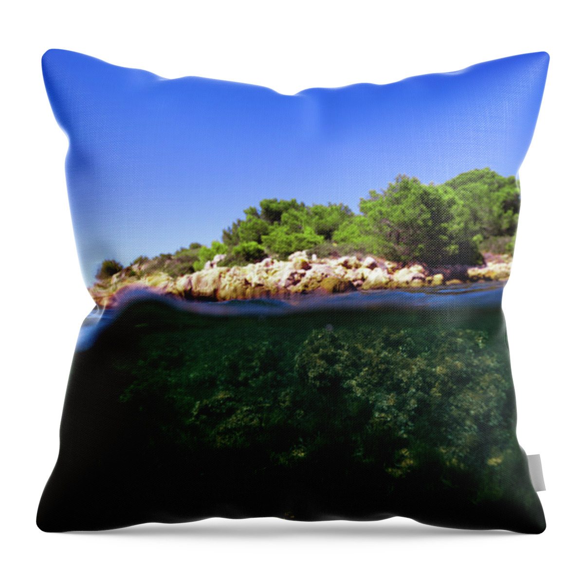 Underwater Throw Pillow featuring the photograph Underwater Life by Gemma Silvestre