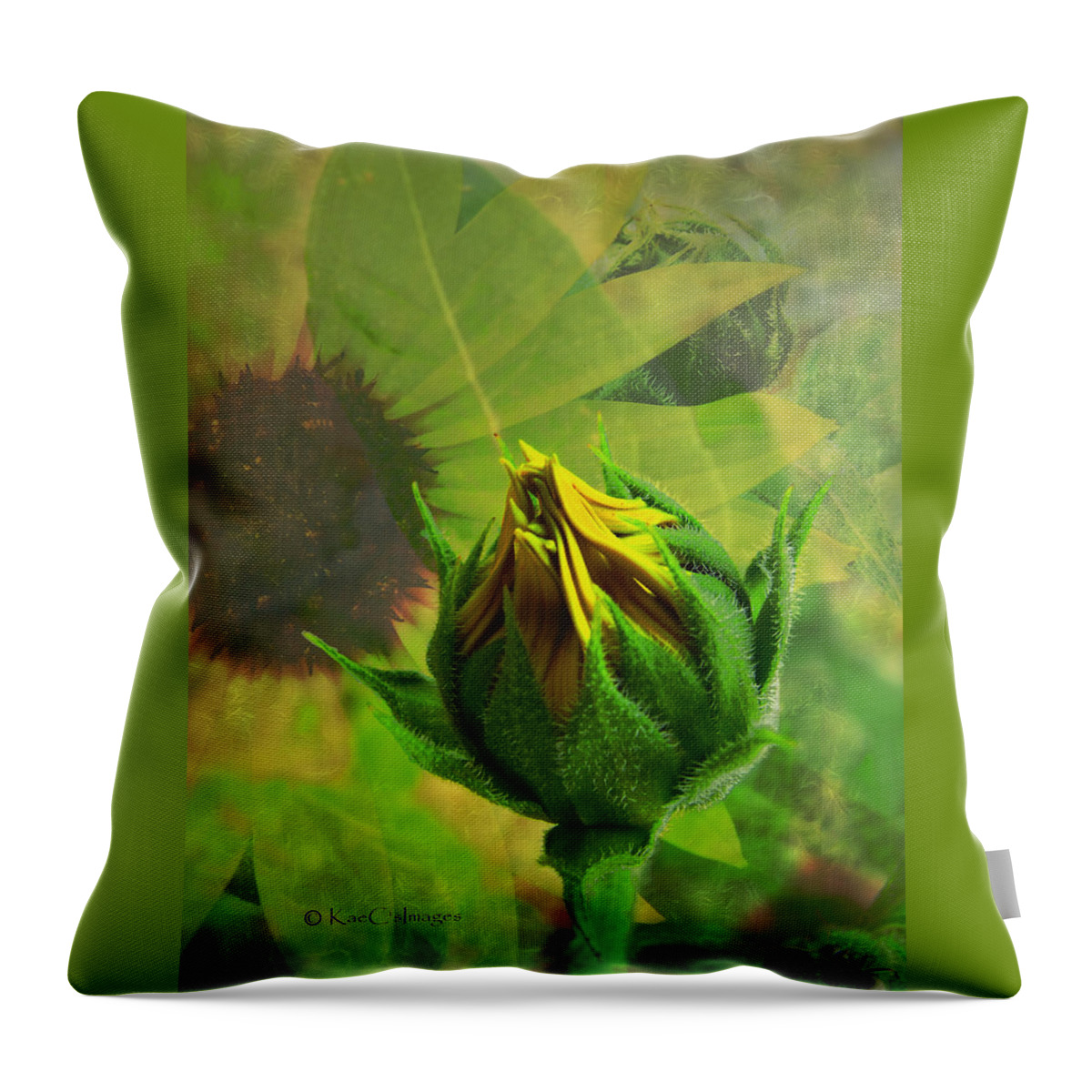 Sunflower Throw Pillow featuring the digital art Unfolding Sunflower by Kae Cheatham