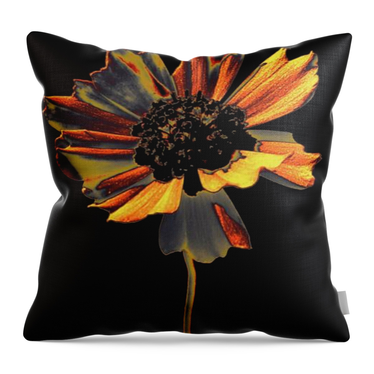 Flower Throw Pillow featuring the photograph Uniquely Solo by Dani McEvoy